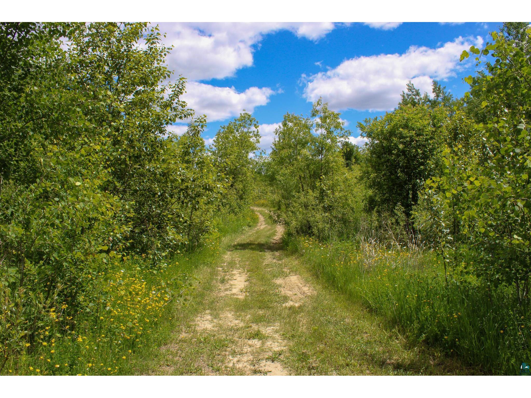 TBD 7th St Nashwauk MN 55769 6126299 image6
