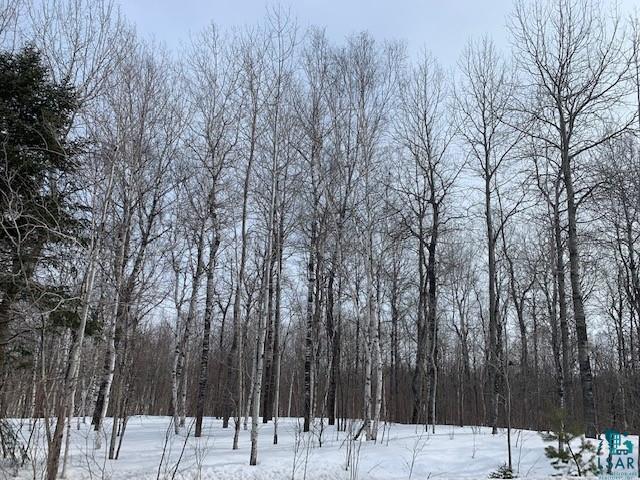 TBD Ableman Rd Orr MN 55771 - Little Fork River 6107224 image1