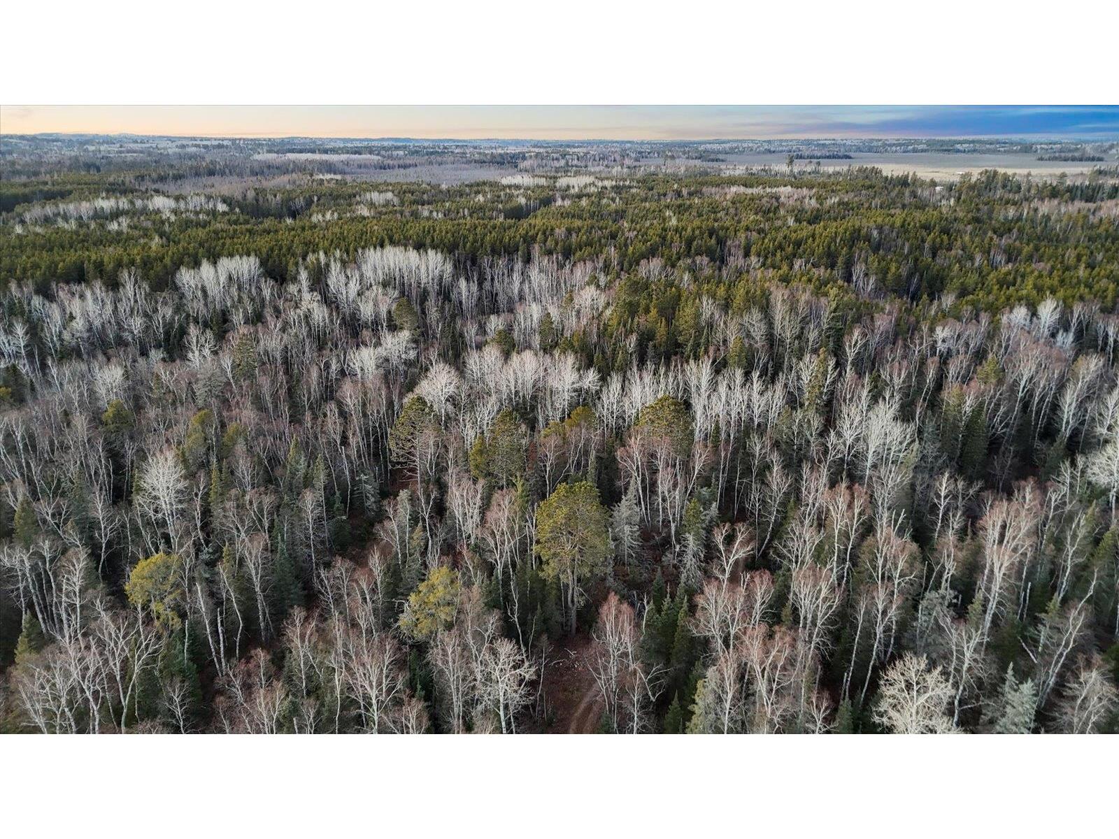 TBD Arthur Lake Babbitt MN 55706 - Arthur 6123011 image19