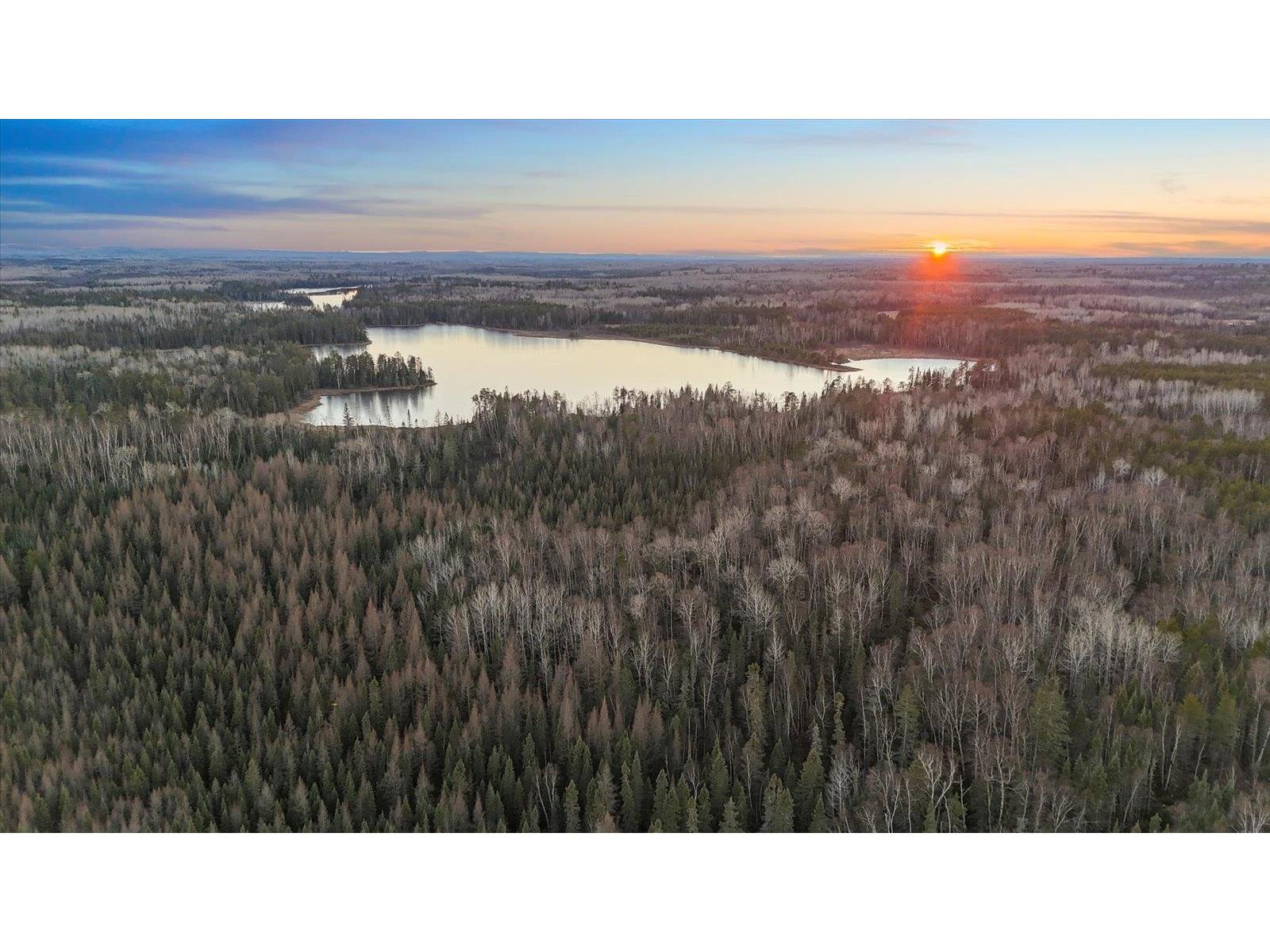 TBD Arthur Lake Babbitt MN 55706 - Arthur 6123011 image2