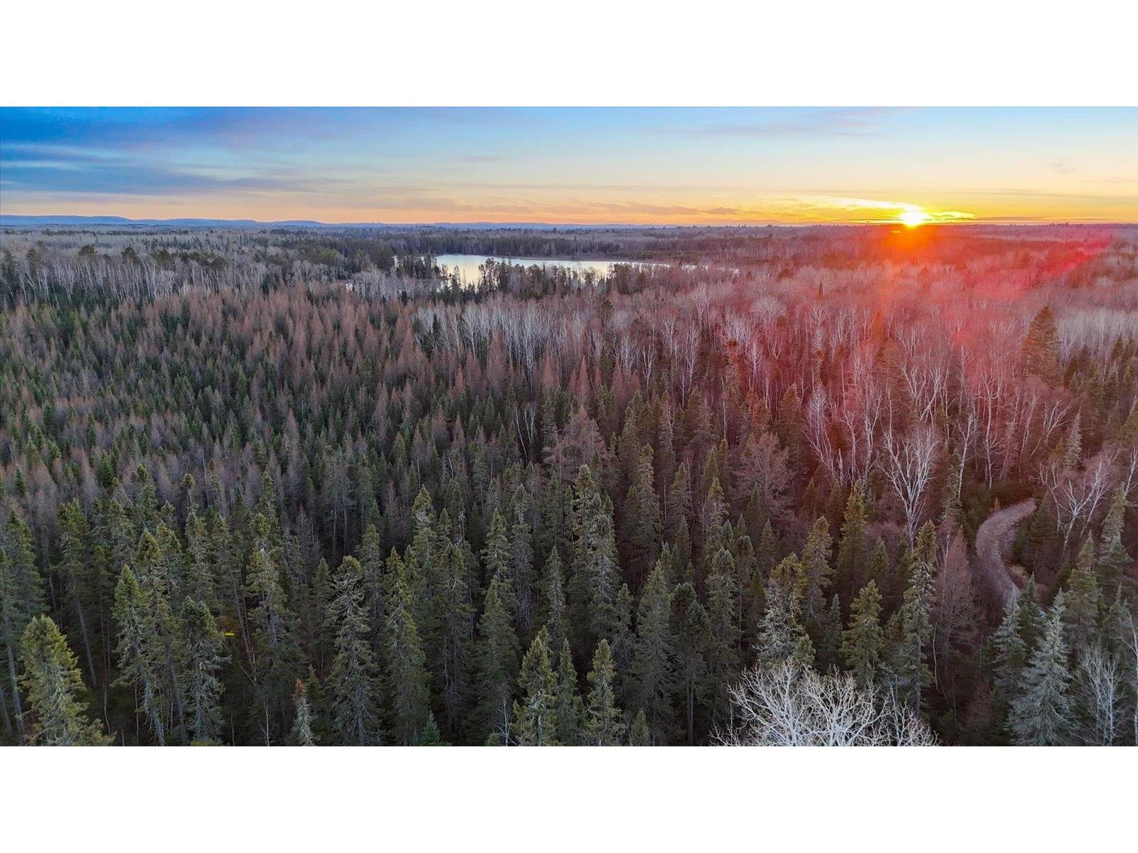 TBD Arthur Lake Babbitt MN 55706 - Arthur 6123011 image4