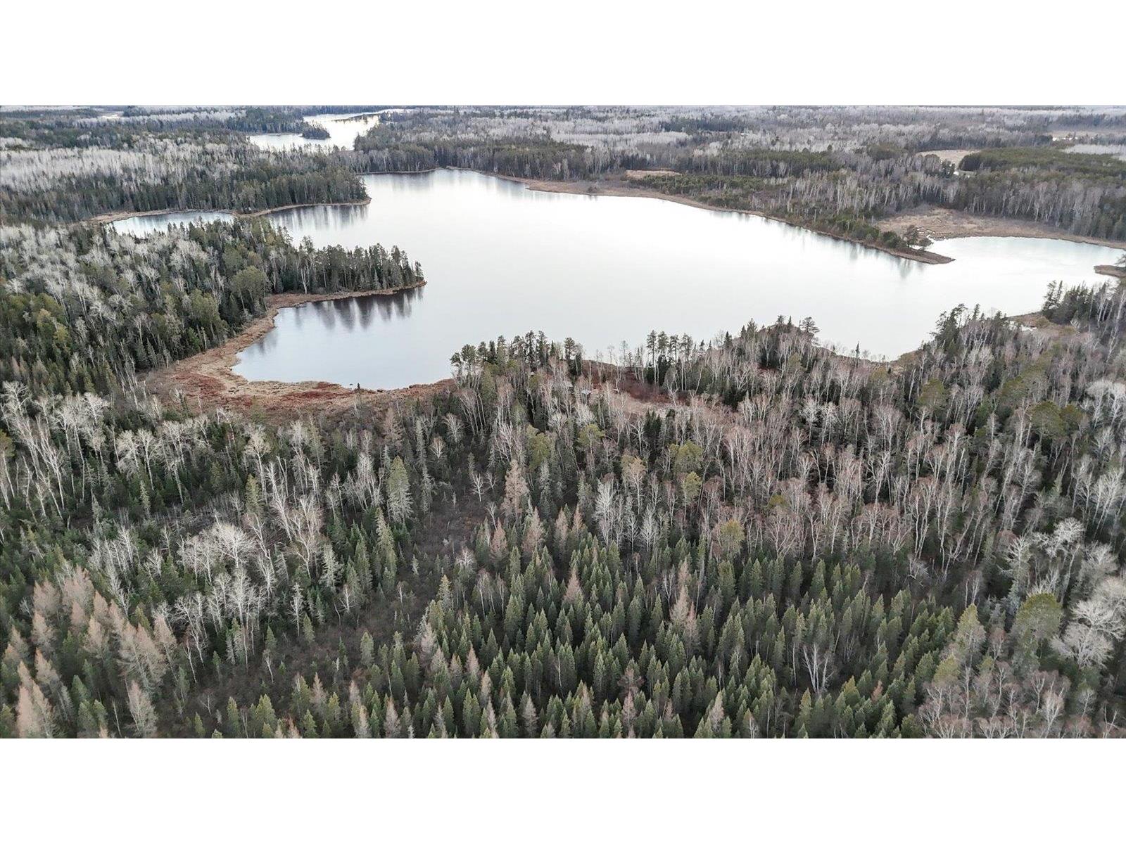 TBD Arthur Lake Babbitt MN 55706 - Arthur 6123011 image7