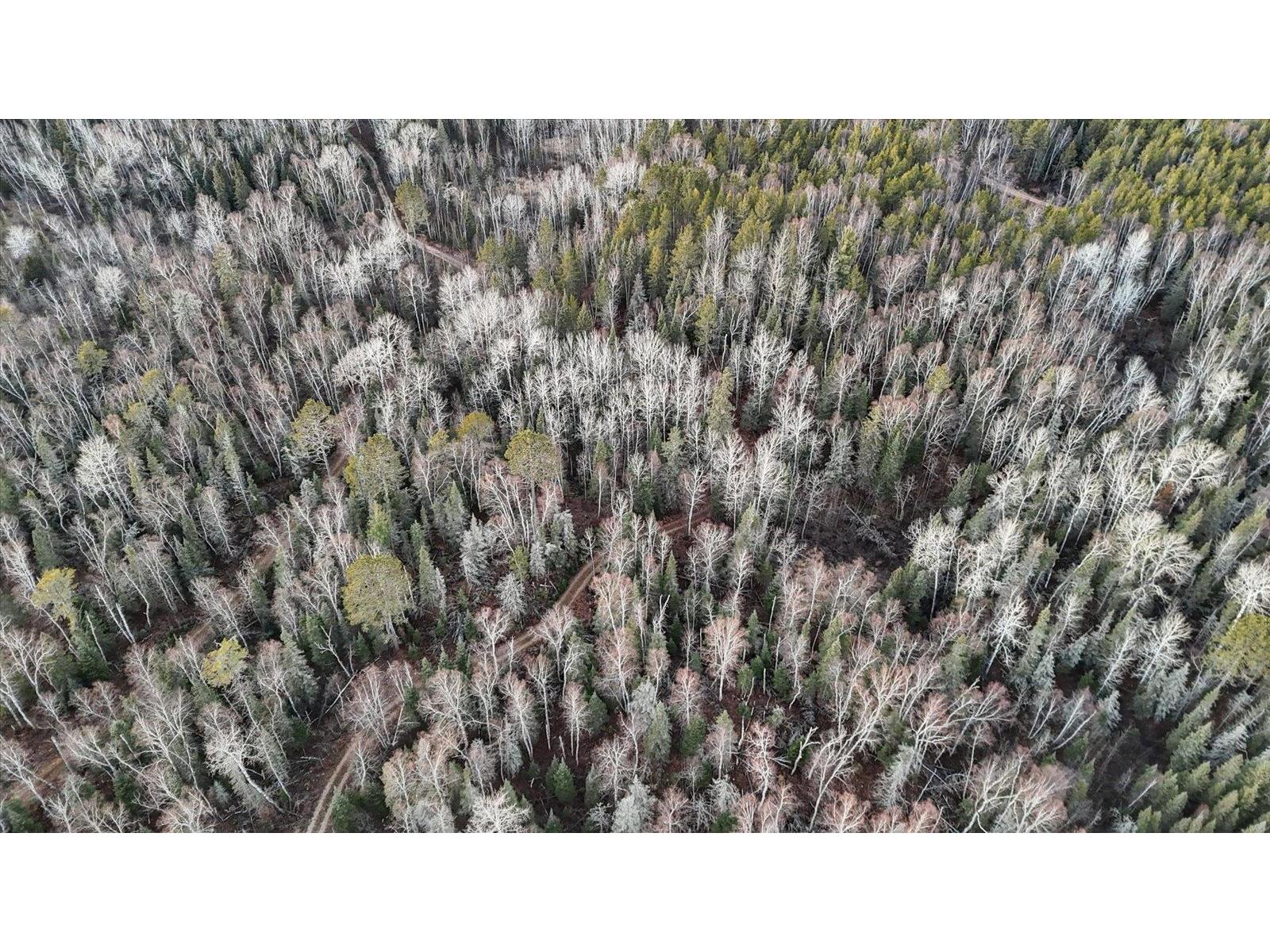 TBD Arthur Lake Babbitt MN 55706 - Arthur 6123011 image8