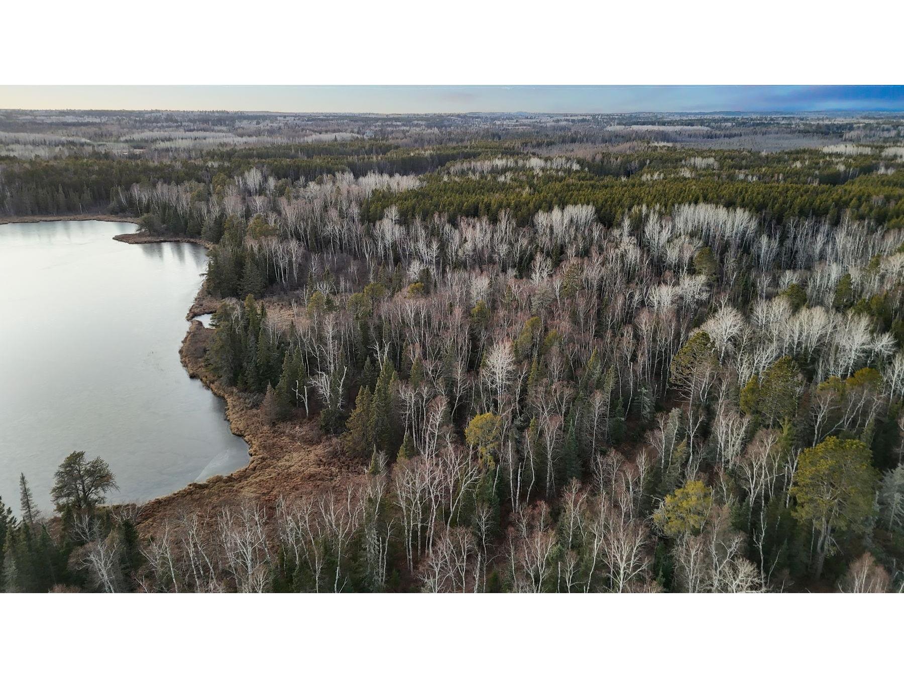 TBD Arthur Lake Babbitt MN 55706 - Arthur 6123667 image16