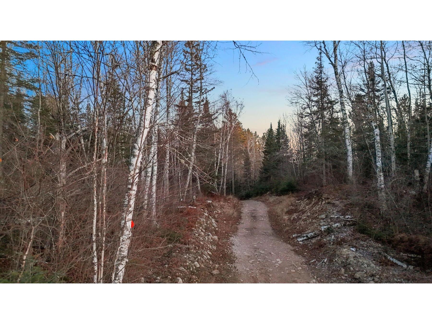 TBD Arthur Lake Babbitt MN 55706 - Arthur 6123667 image24