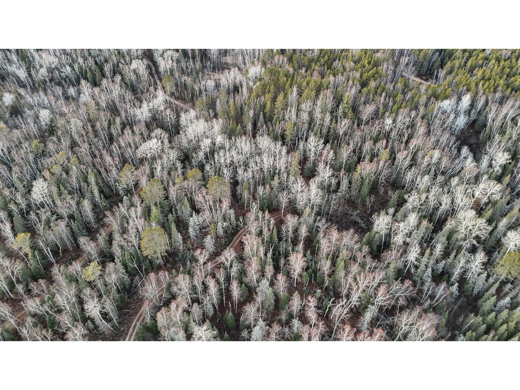 TBD Arthur Lake Babbitt MN 55706 - Arthur 6123667 image6