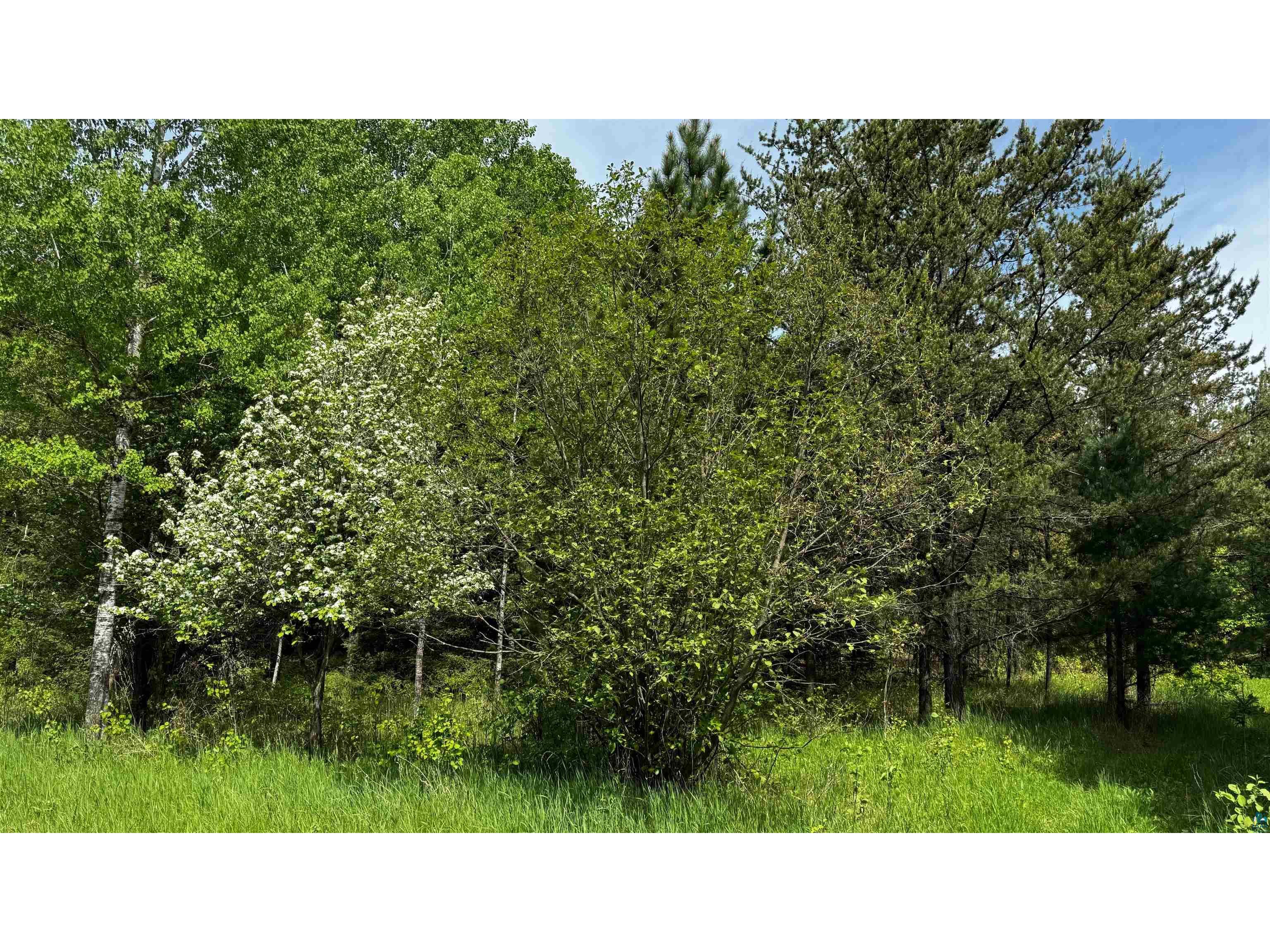 TBD-B Hwy 169 Virginia MN 55792 6125877 image10