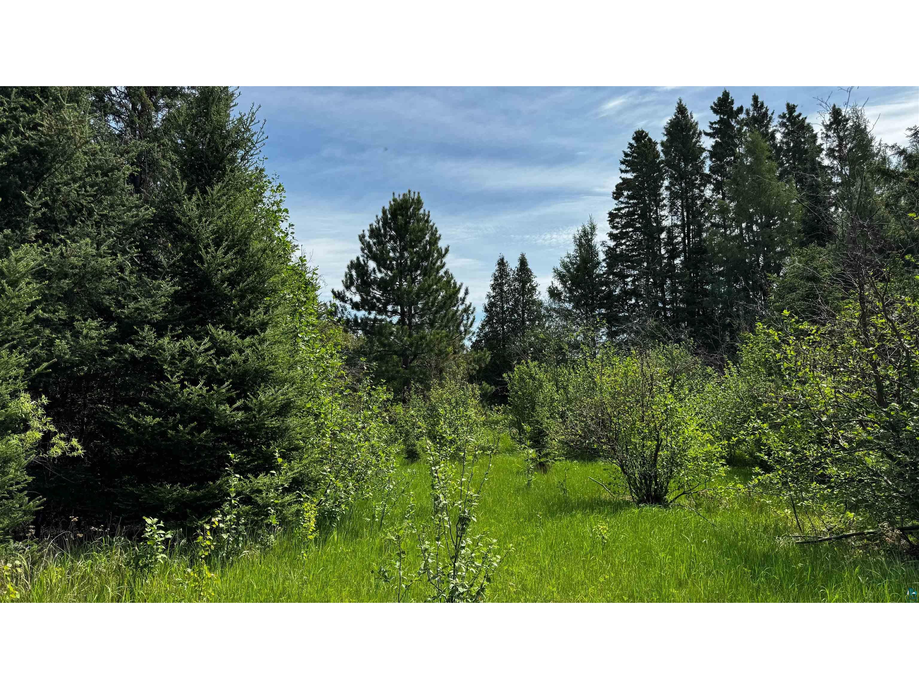 TBD-B Hwy 169 Virginia MN 55792 6125877 image9