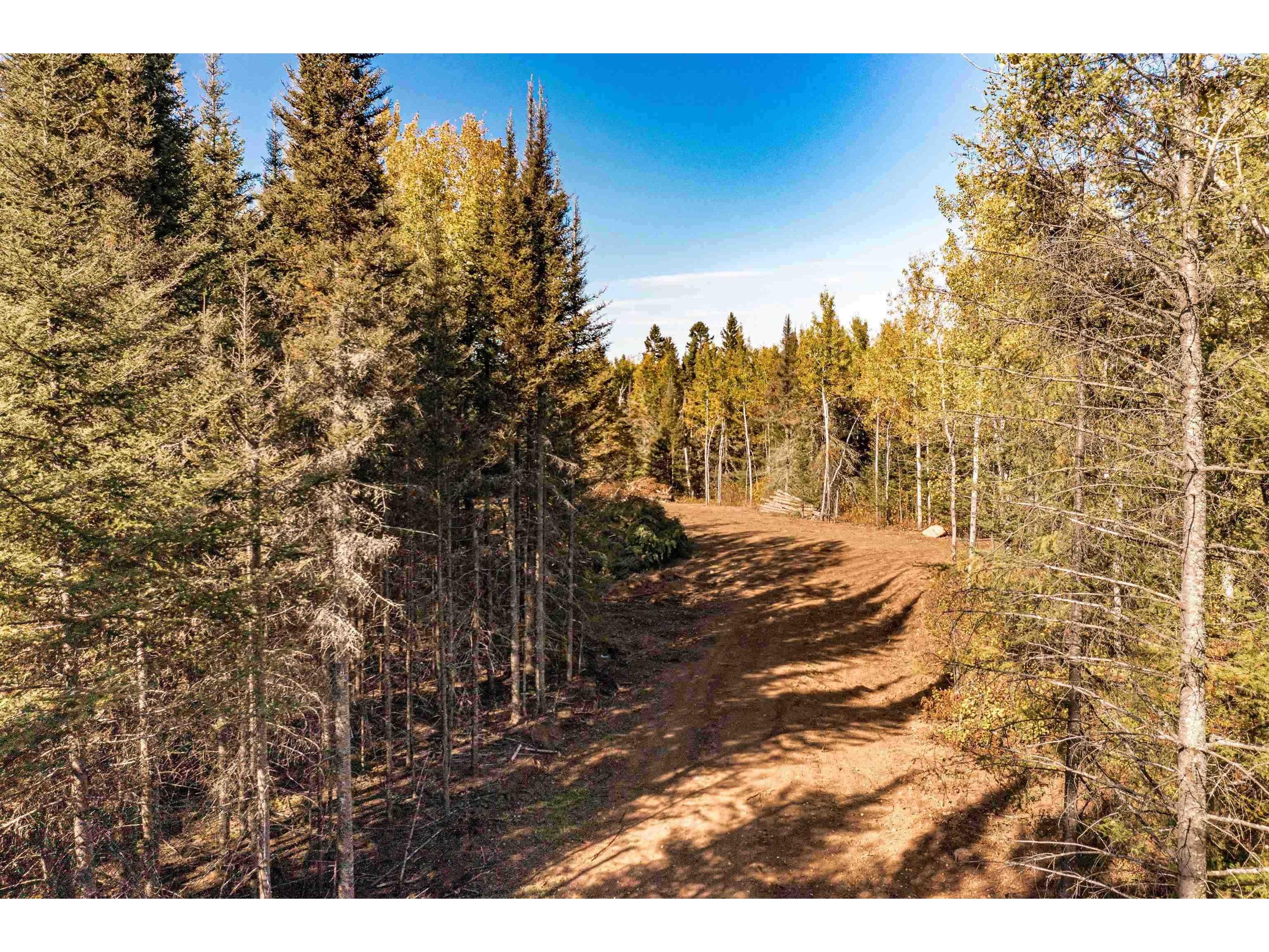 TBD Baptism Ln Finland MN 55603 - Baptism River 6123190 image1