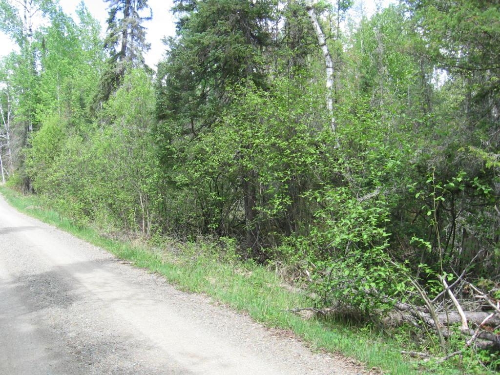 TBD Black Bear Tr Ely MN 55731 6119509 image1