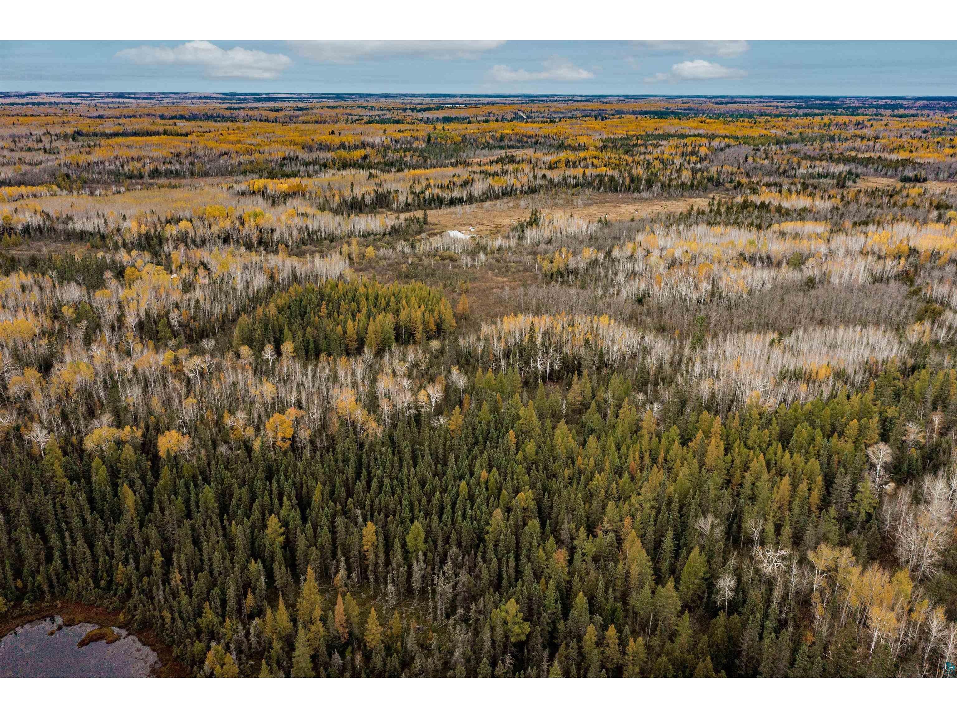 TBD Blomquist Rd Duluth MN 55803 6112982 image1