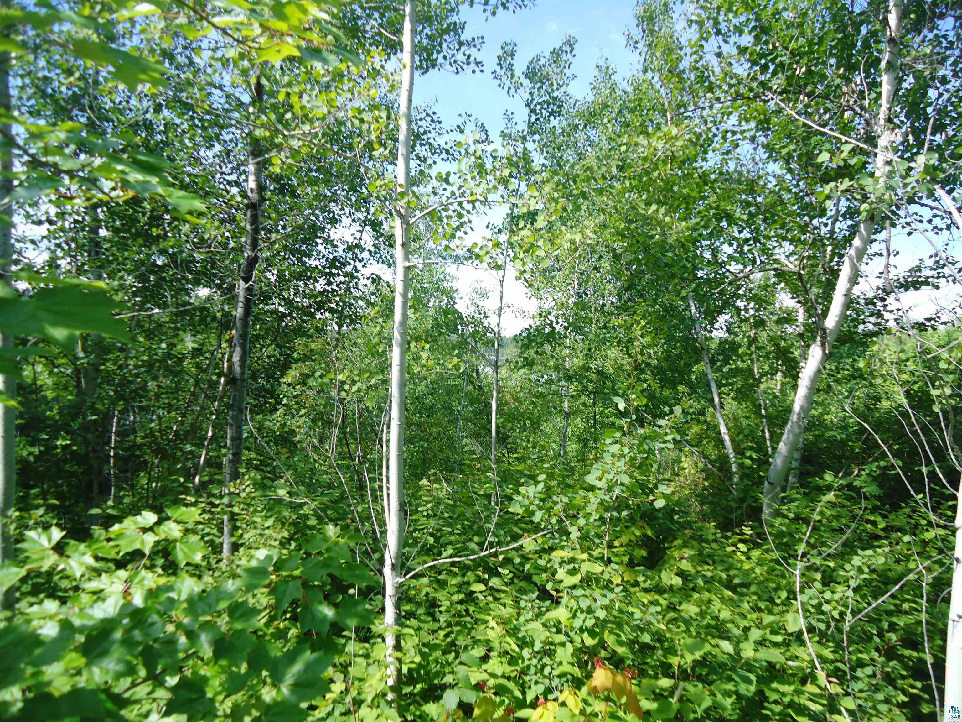TBD Canadian Border Rd Ely MN 55731 6115610 image1