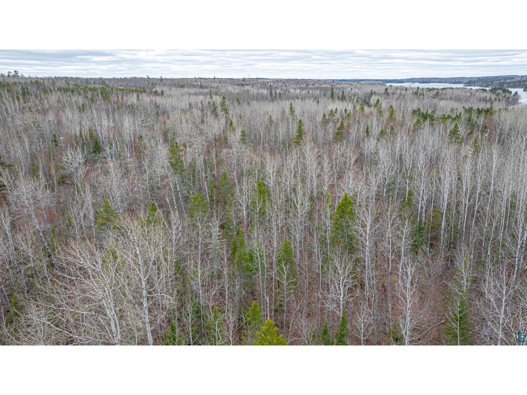 TBD Circle Dr Ely MN 55731 6125048 image19
