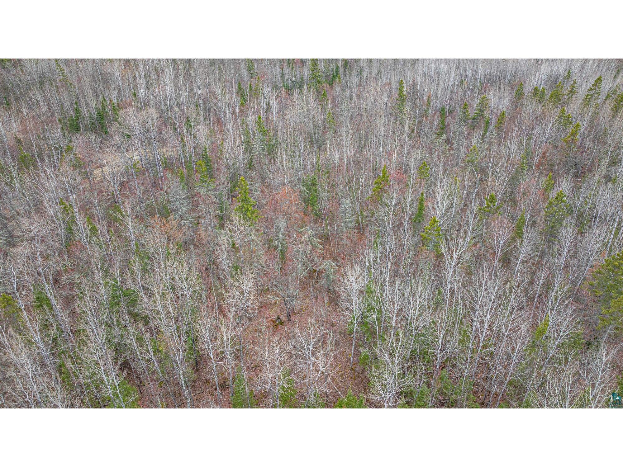 TBD Circle Dr Ely MN 55731 6125048 image20