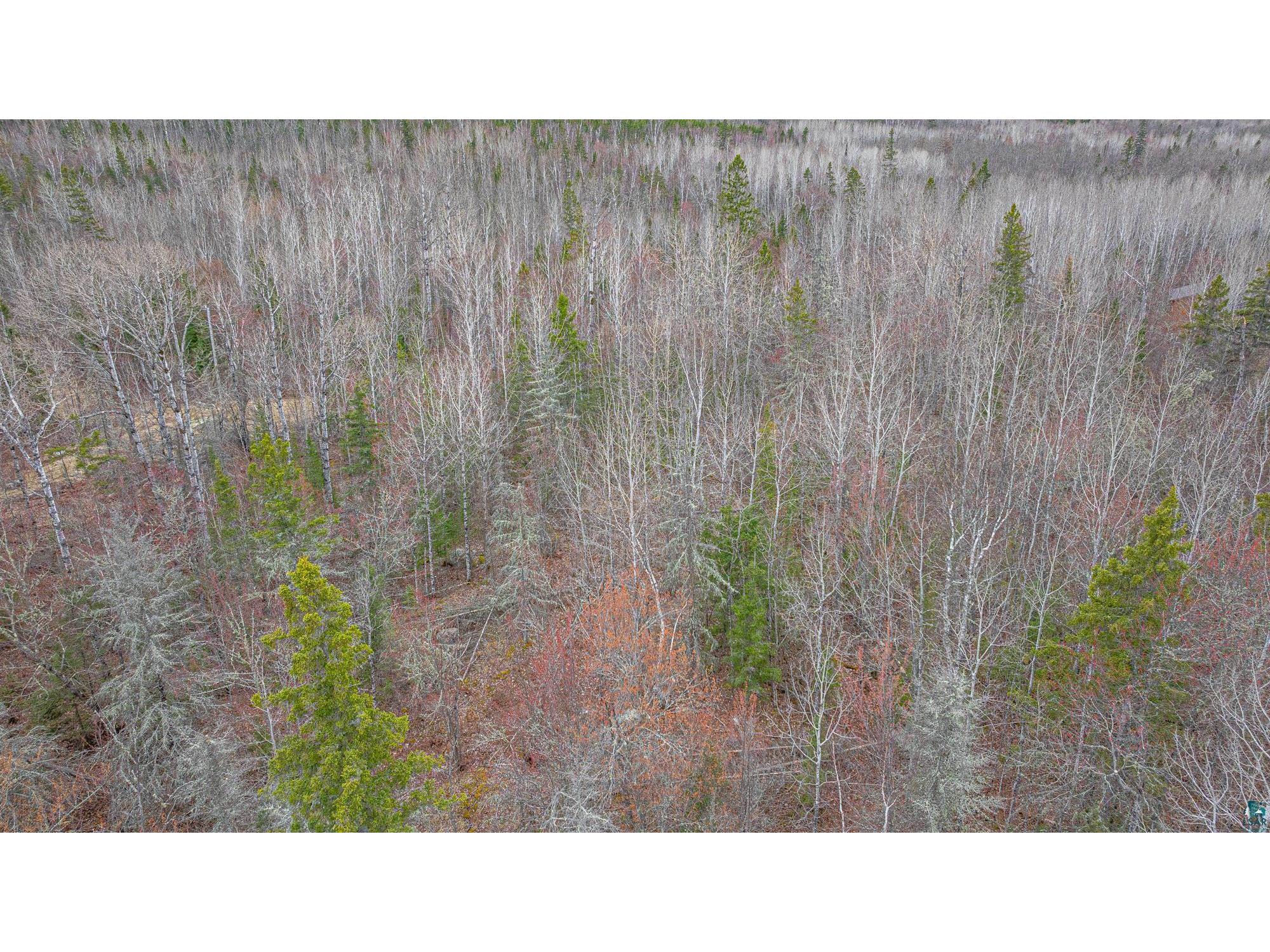 TBD Circle Dr Ely MN 55731 6125048 image21