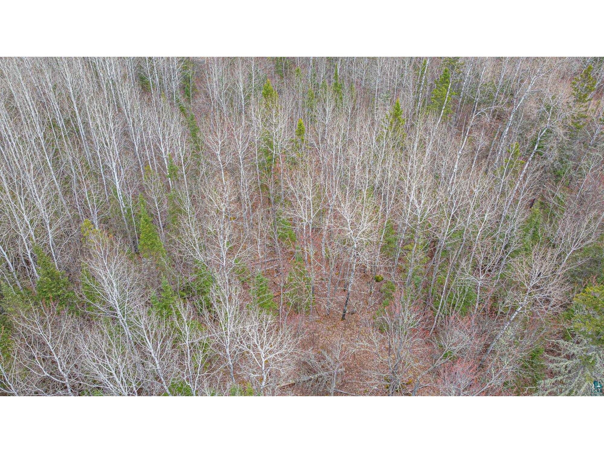 TBD Circle Dr Ely MN 55731 6125048 image22