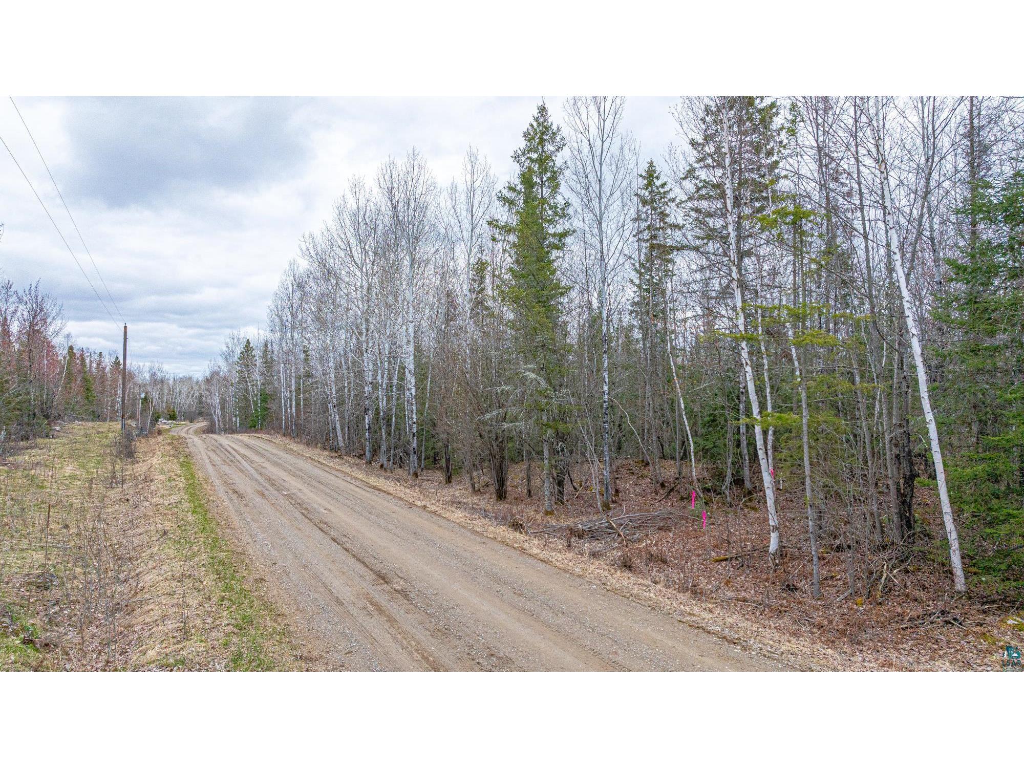 TBD Circle Dr Ely MN 55731 6125048 image4