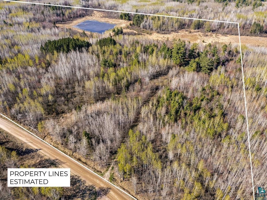 TBD Crane Lake Rd Orr MN 55771 - POND 6125971 image1