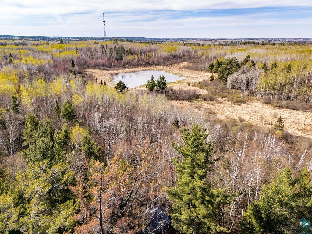 TBD Crane Lake Rd Orr MN 55771 - POND 6125971 image11