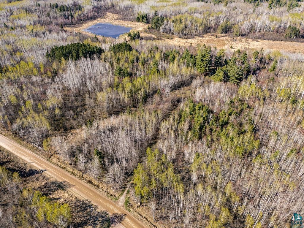 TBD Crane Lake Rd Orr MN 55771 - POND 6125971 image13
