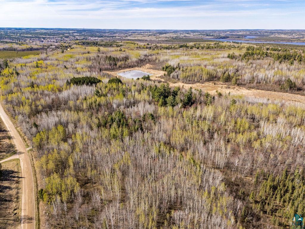 TBD Crane Lake Rd Orr MN 55771 - POND 6125971 image15
