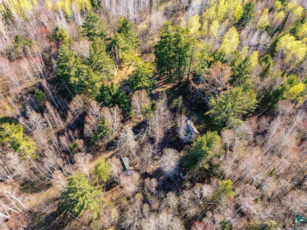 TBD Crane Lake Rd Orr MN 55771 - POND 6125971 image18
