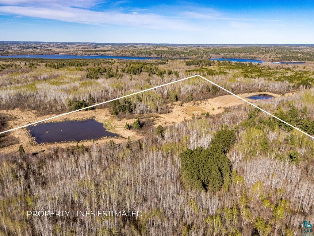 TBD Crane Lake Rd Orr MN 55771 - POND 6125971 image5
