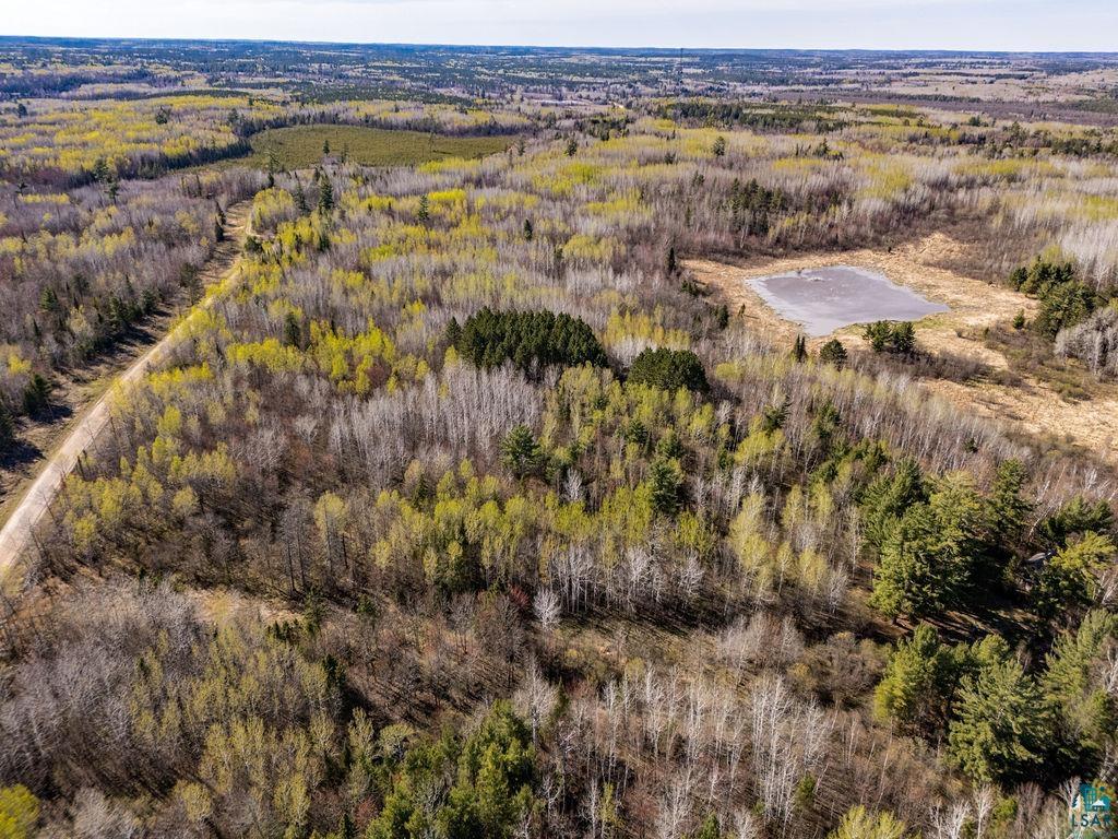 TBD Crane Lake Rd Orr MN 55771 - POND 6125971 image6