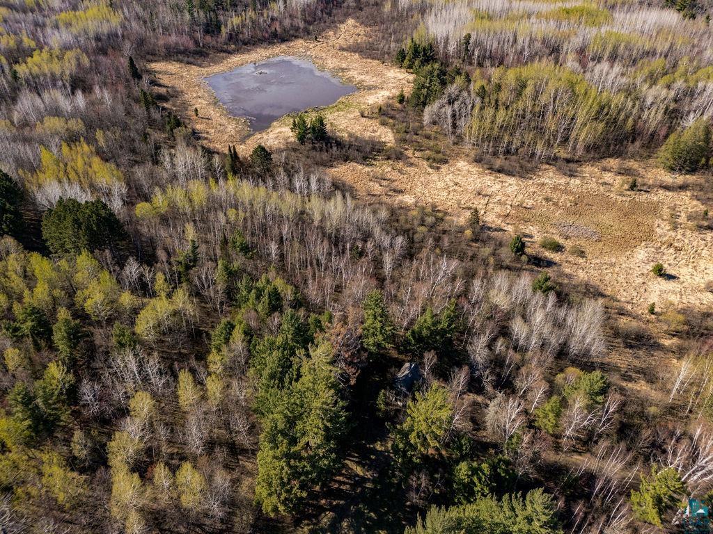 TBD Crane Lake Rd Orr MN 55771 - POND 6125971 image7