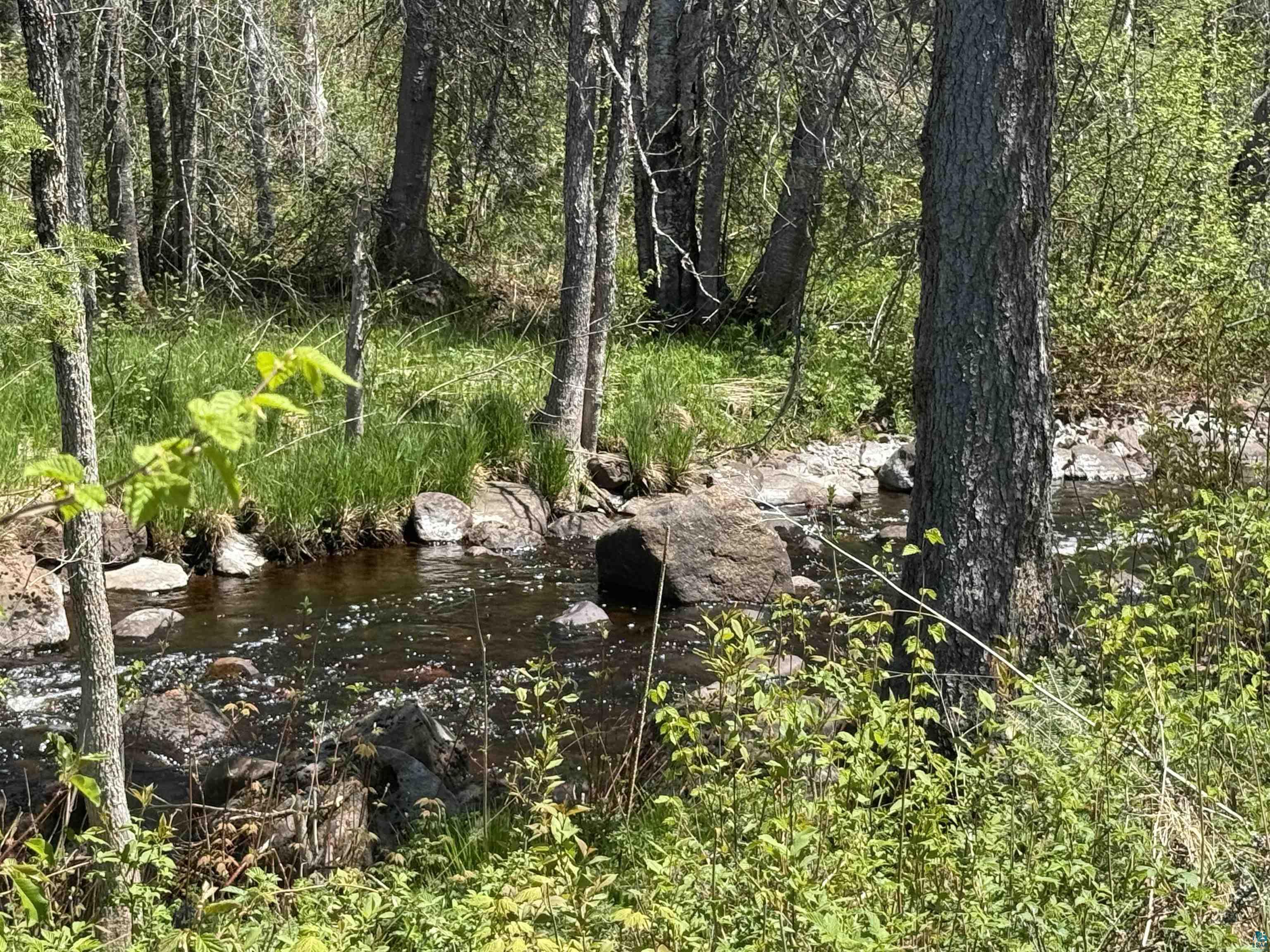 TBD Crown Creek Spur Rd Finland MN 55603 6125769 image1