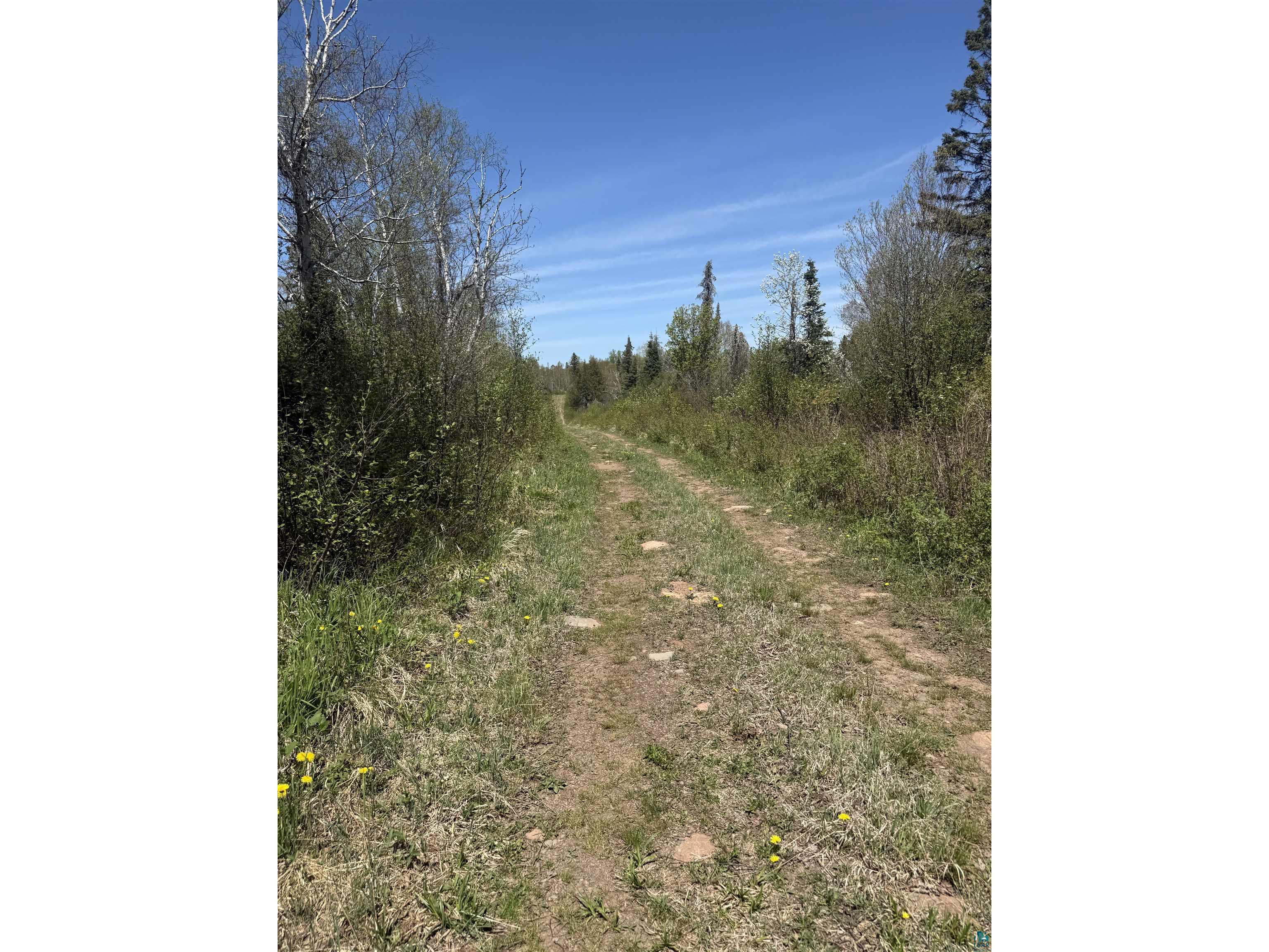 TBD Crown Creek Spur Rd Finland MN 55603 6125769 image10