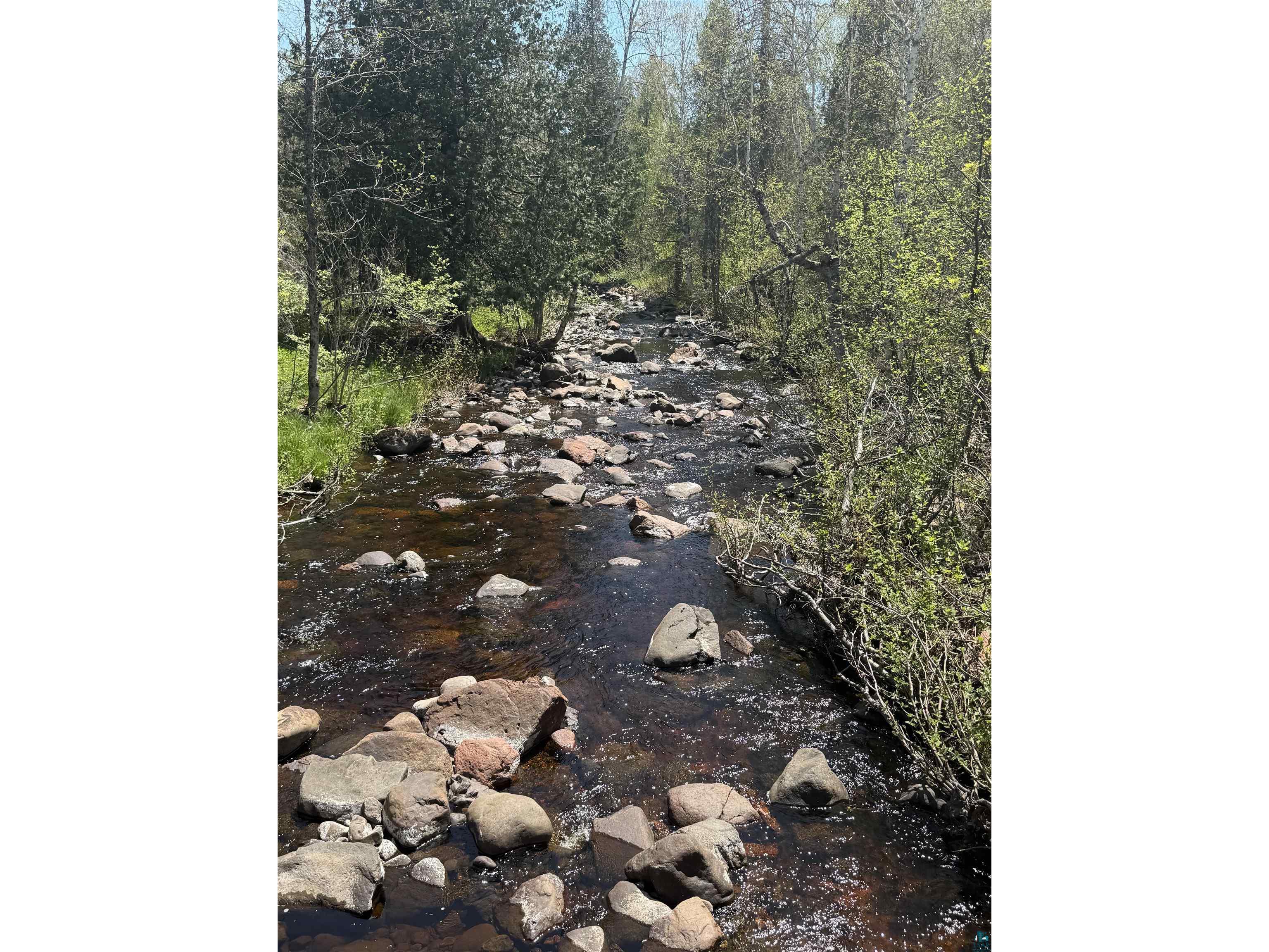 TBD Crown Creek Spur Rd Finland MN 55603 6125769 image14