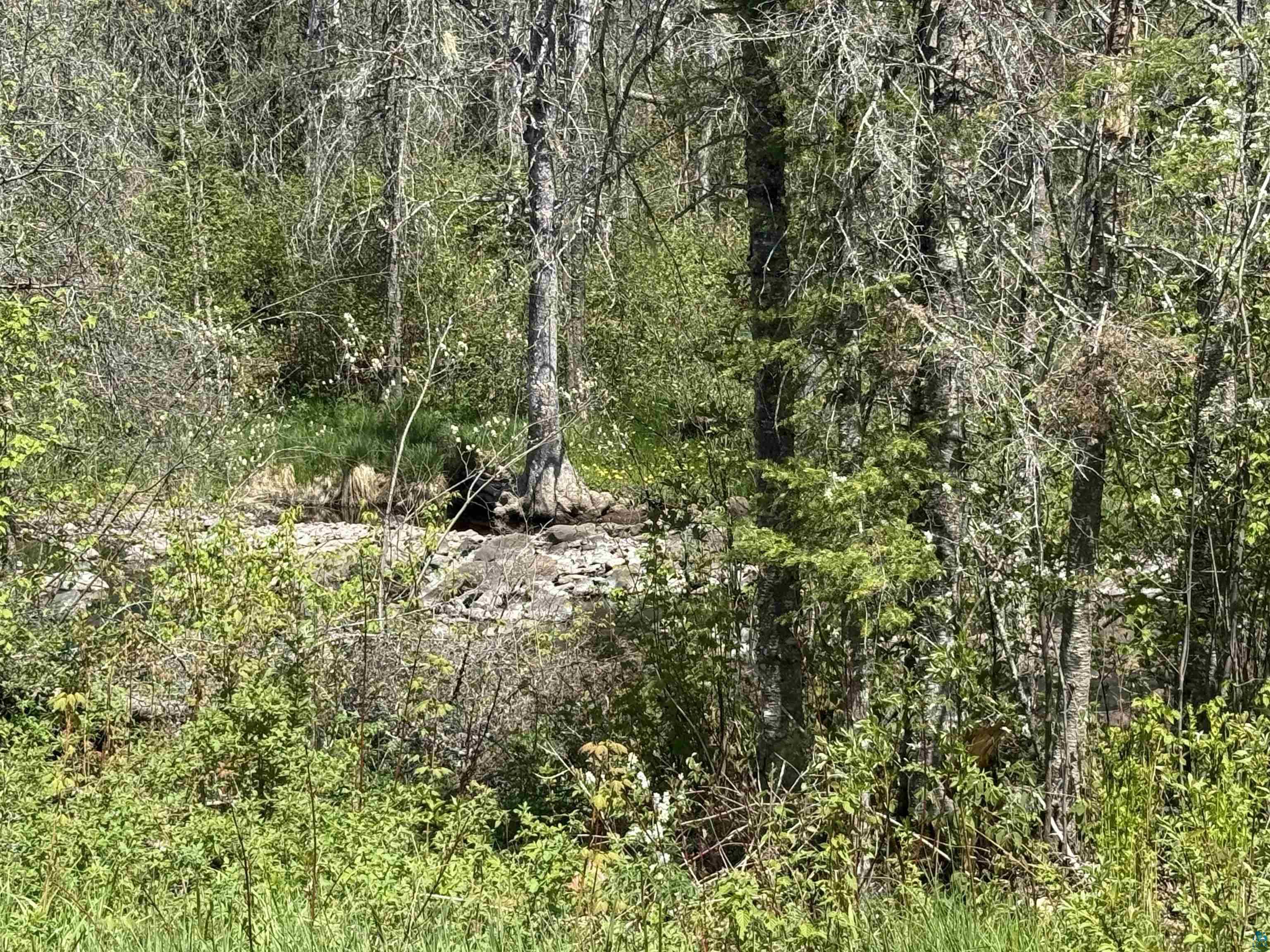 TBD Crown Creek Spur Rd Finland MN 55603 6125769 image2