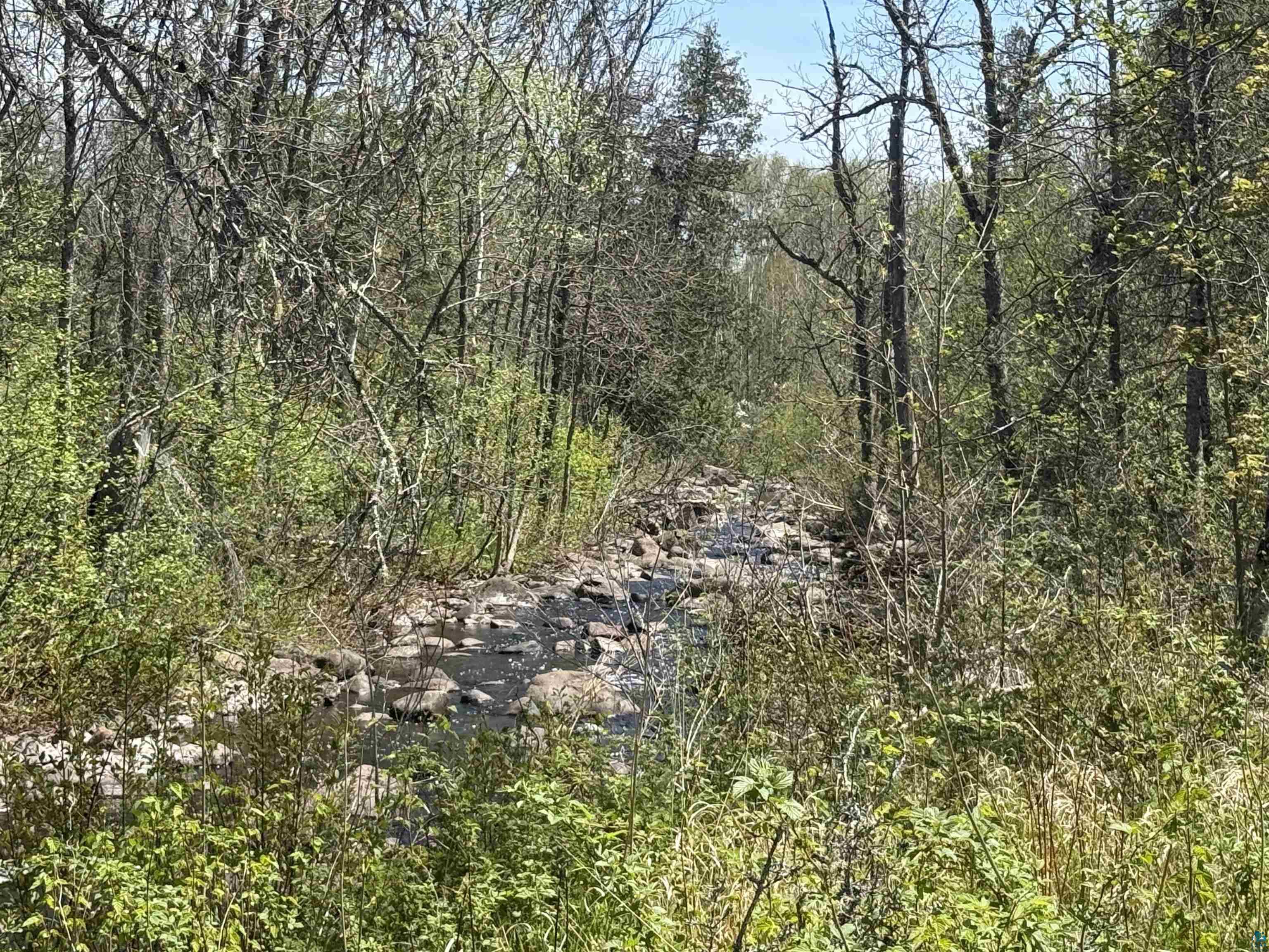 TBD Crown Creek Spur Rd Finland MN 55603 6125769 image3