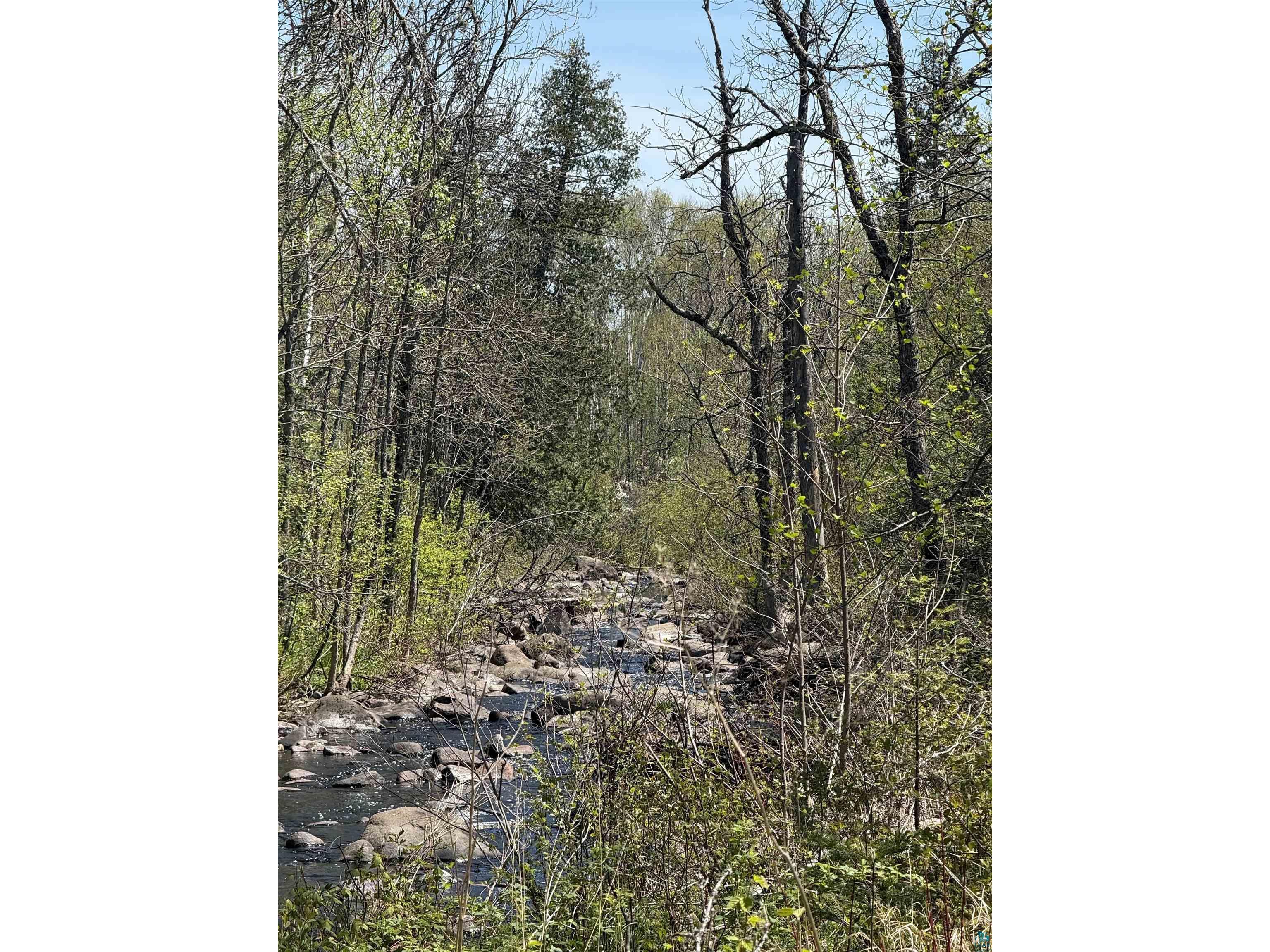 TBD Crown Creek Spur Rd Finland MN 55603 6125769 image4
