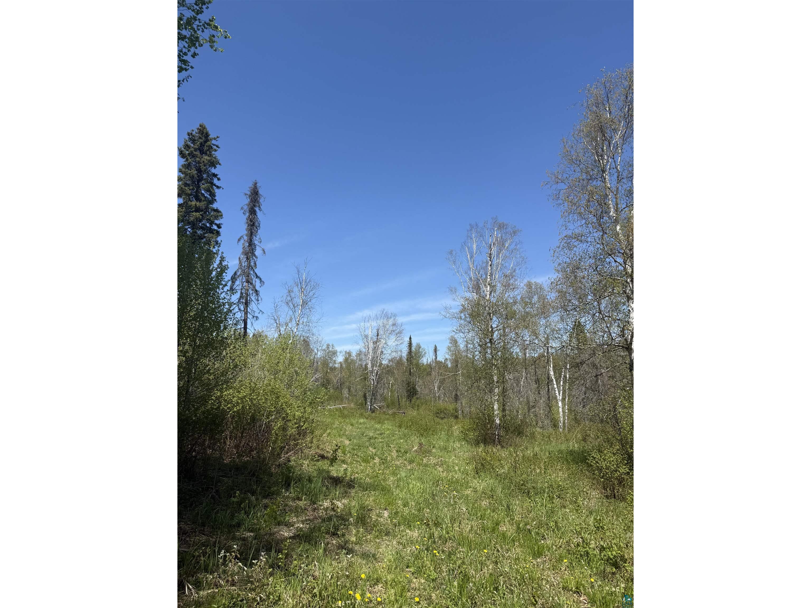 TBD Crown Creek Spur Rd Finland MN 55603 6125769 image5