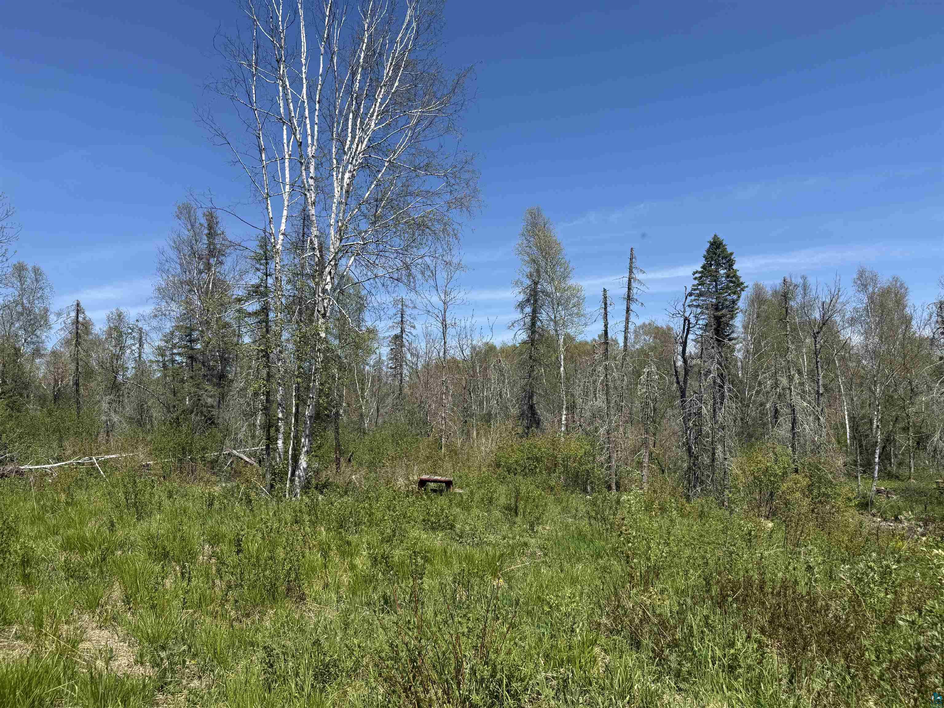 TBD Crown Creek Spur Rd Finland MN 55603 6125769 image6