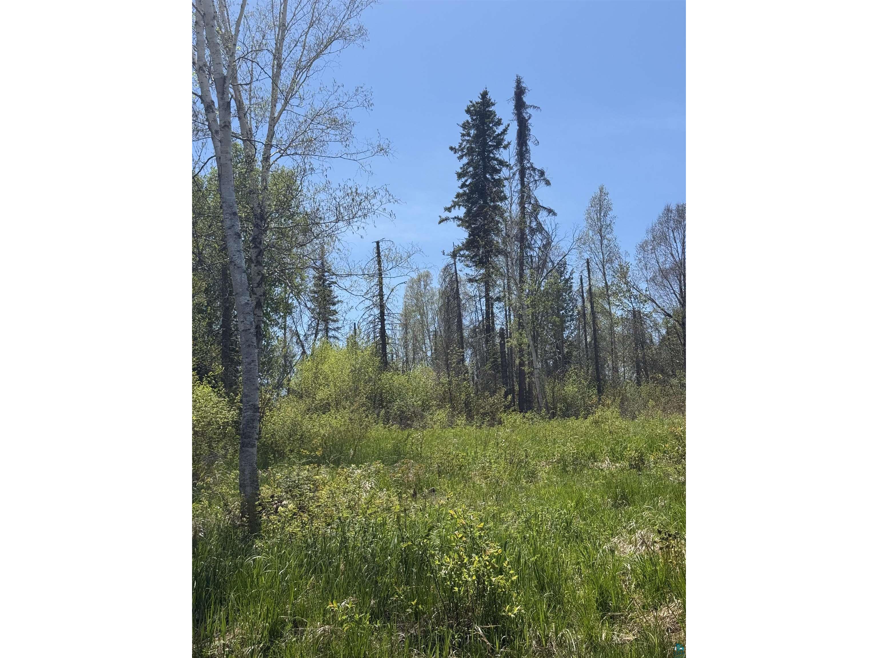 TBD Crown Creek Spur Rd Finland MN 55603 6125769 image8