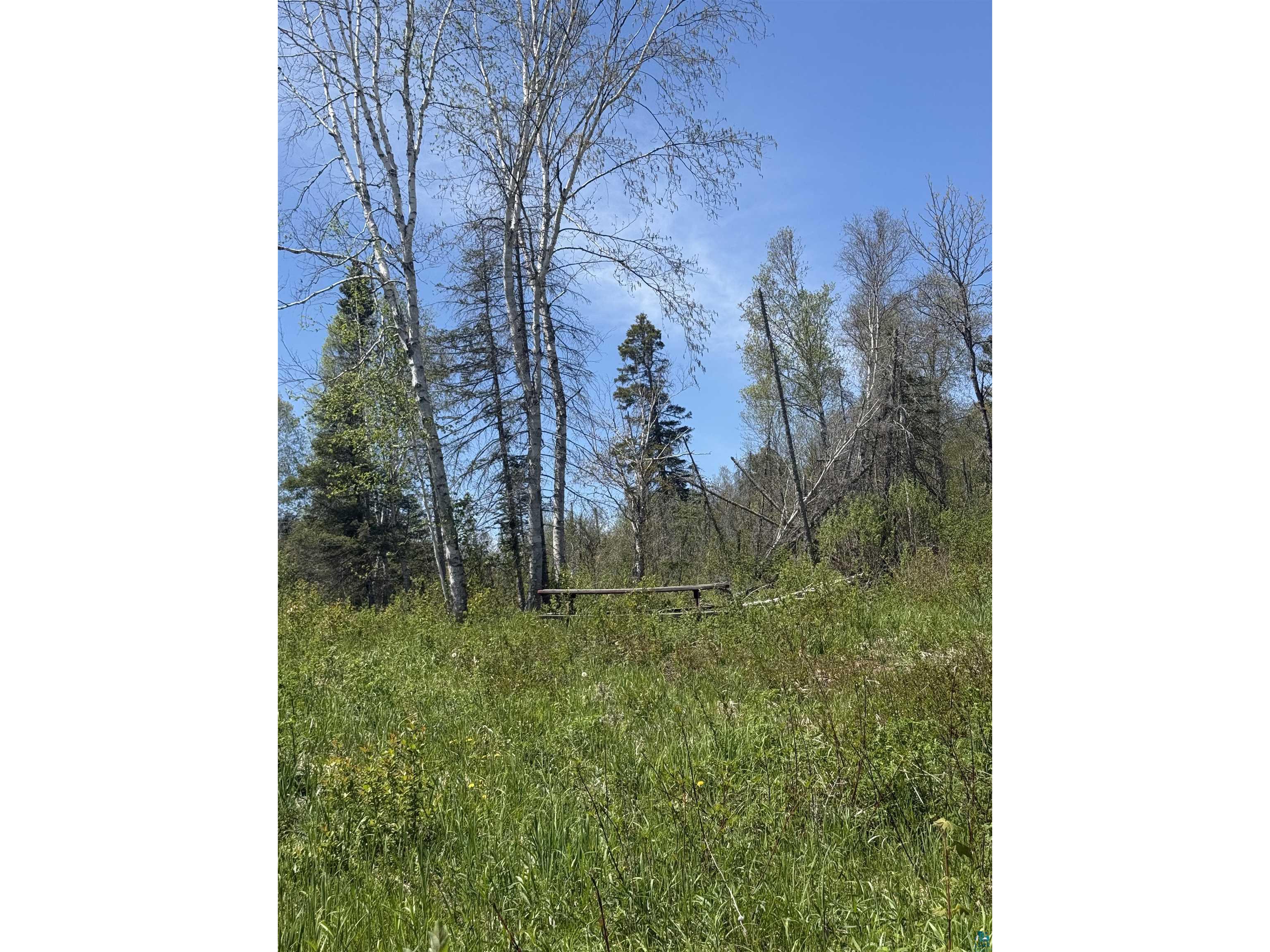 TBD Crown Creek Spur Rd Finland MN 55603 6125769 image9