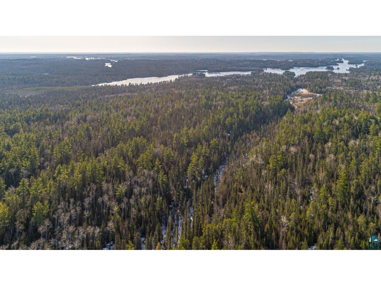 TBD Delta Lake Rd Ely MN 55731 6103868 image1