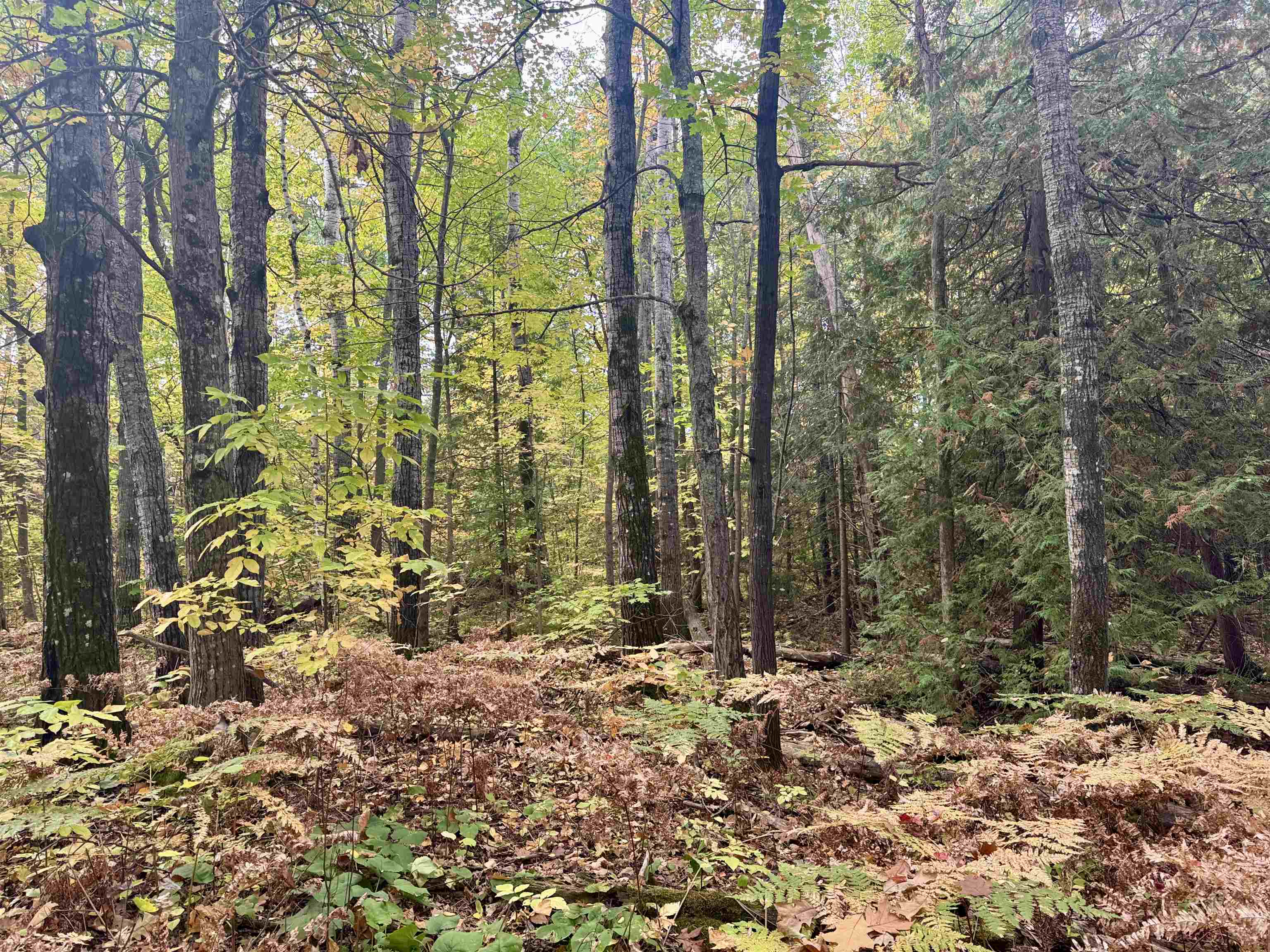 TBD Eagle Run Bayfield WI 54814 6122233 image3