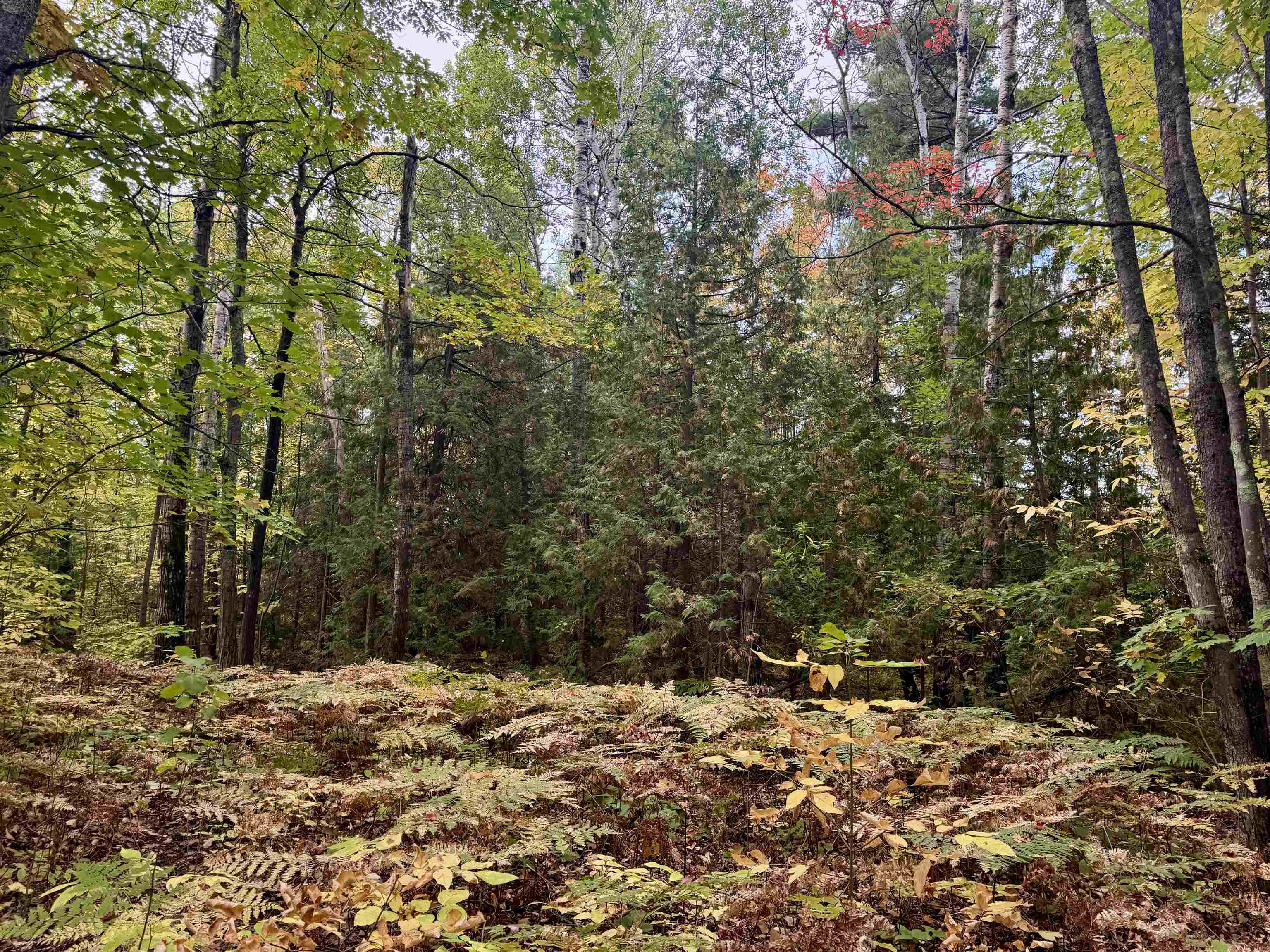 TBD Eagle Run Bayfield WI 54814 6122233 image6