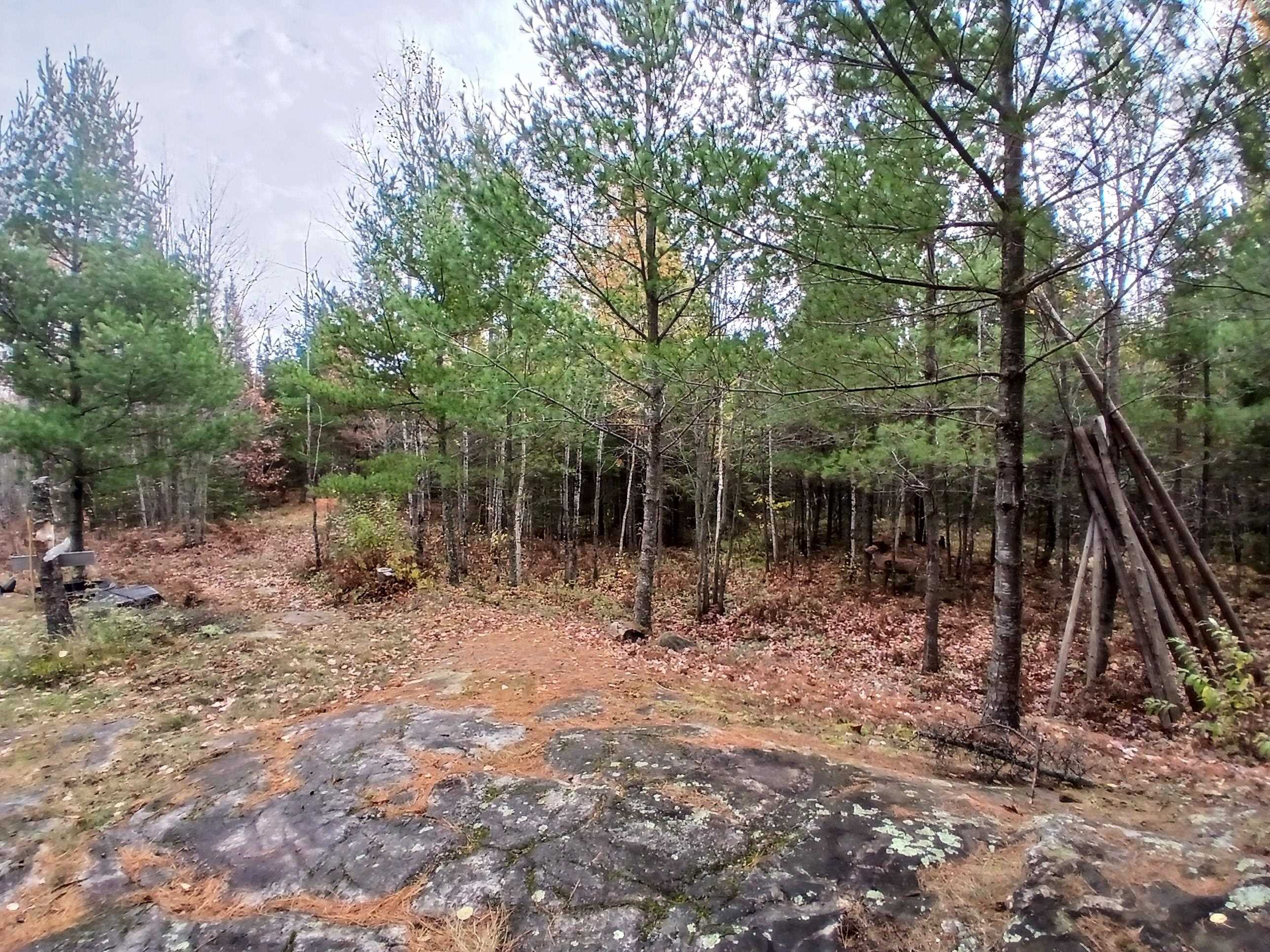 TBD Echo Tr Orr MN 55771 6123186 image32