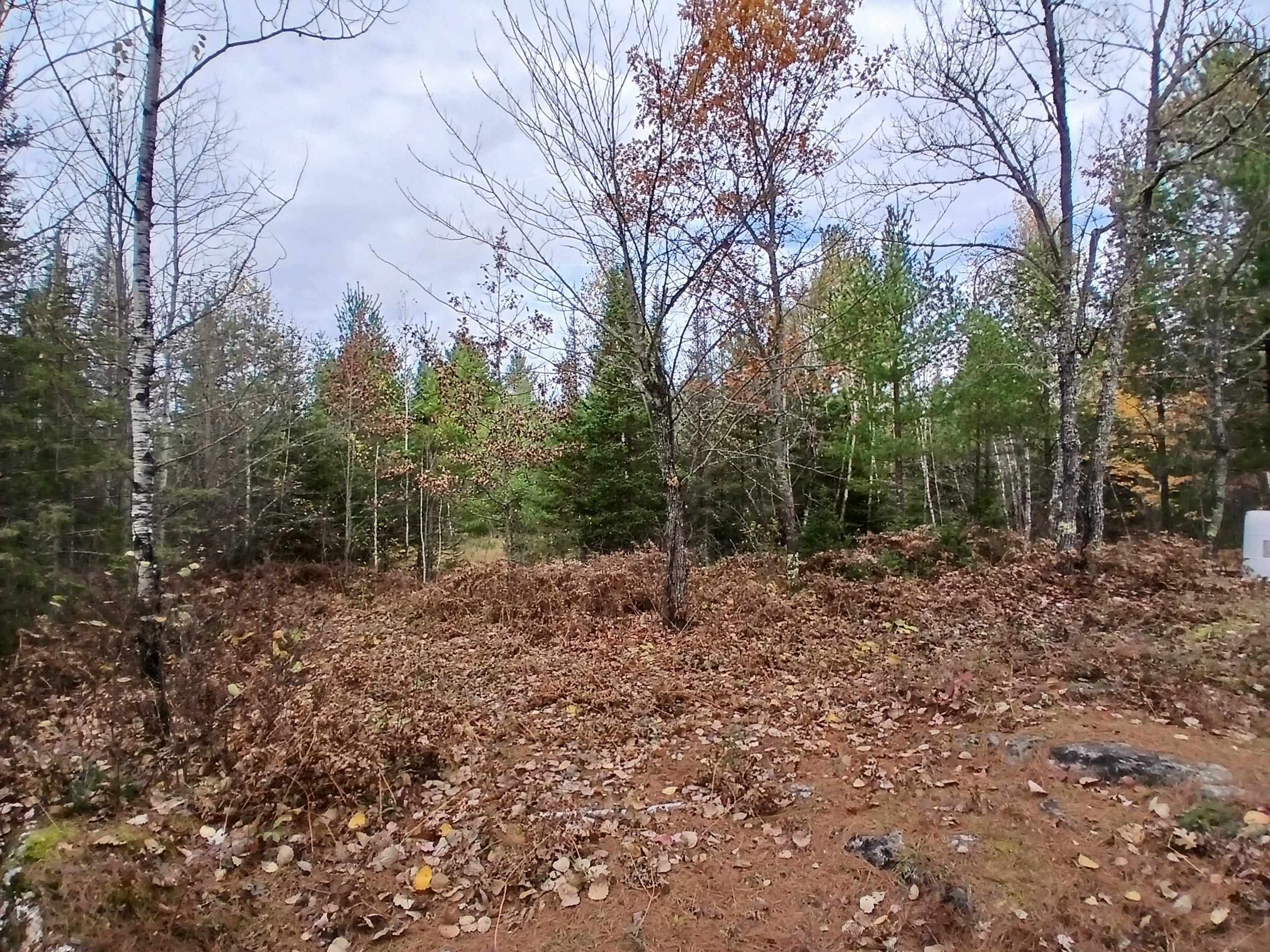 TBD Echo Tr Orr MN 55771 6123186 image33