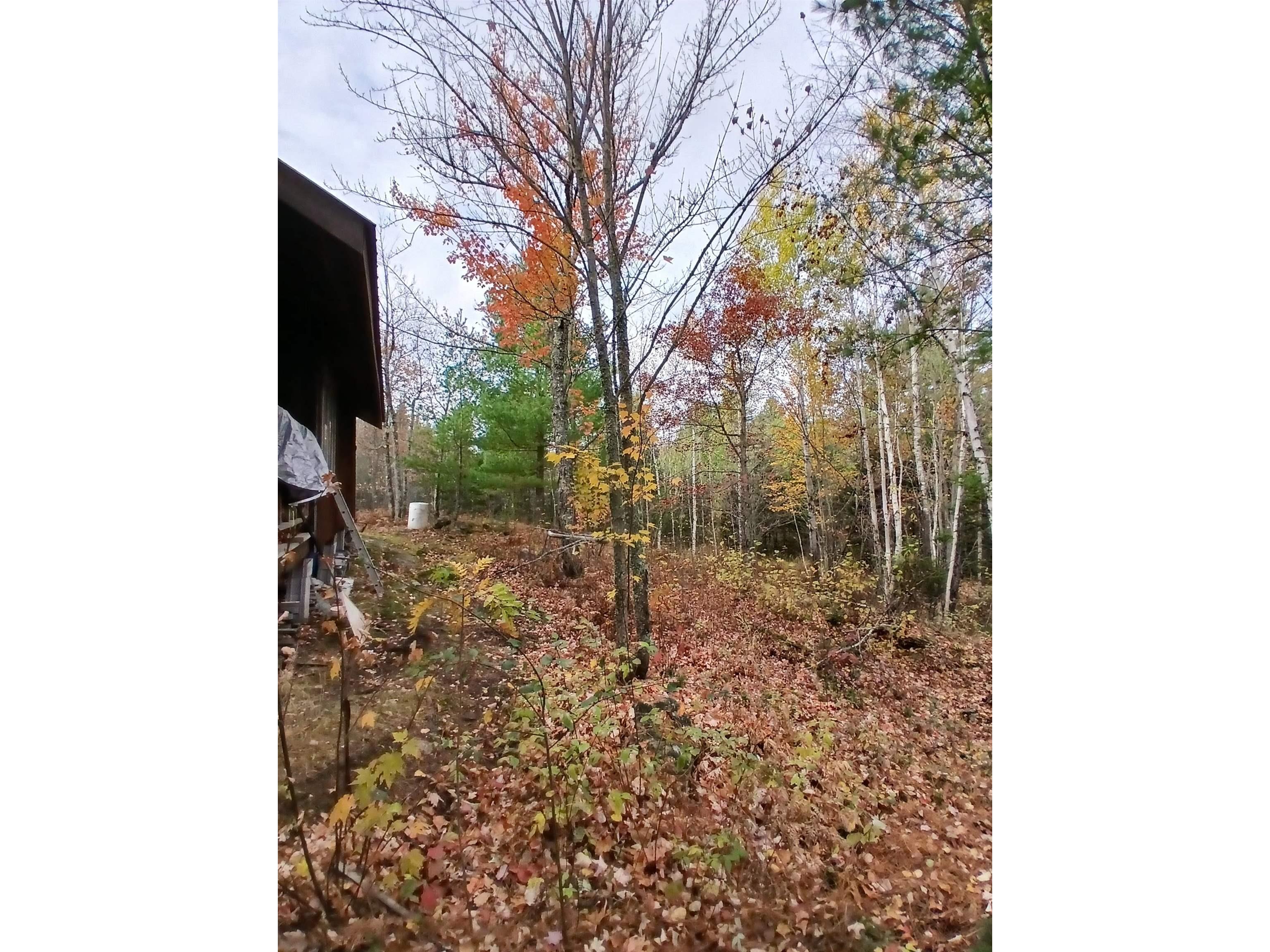 TBD Echo Tr Orr MN 55771 6123186 image35