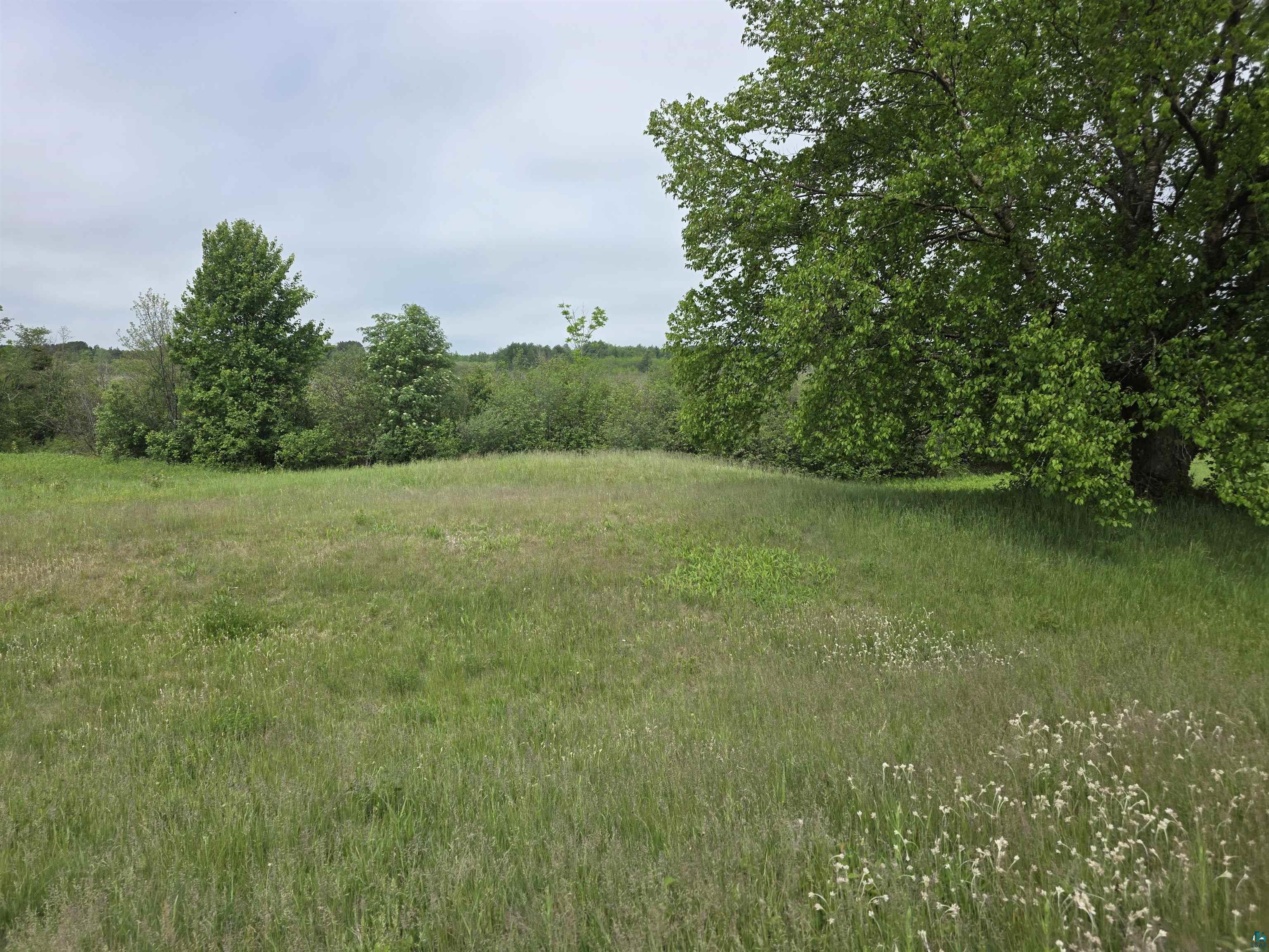 TBD Erkkila Rd Esko MN 55733 6125952 image2