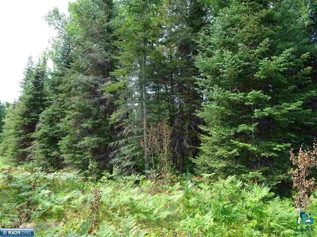 TBD Flaim Rd Tower MN 55790 6109283 image1