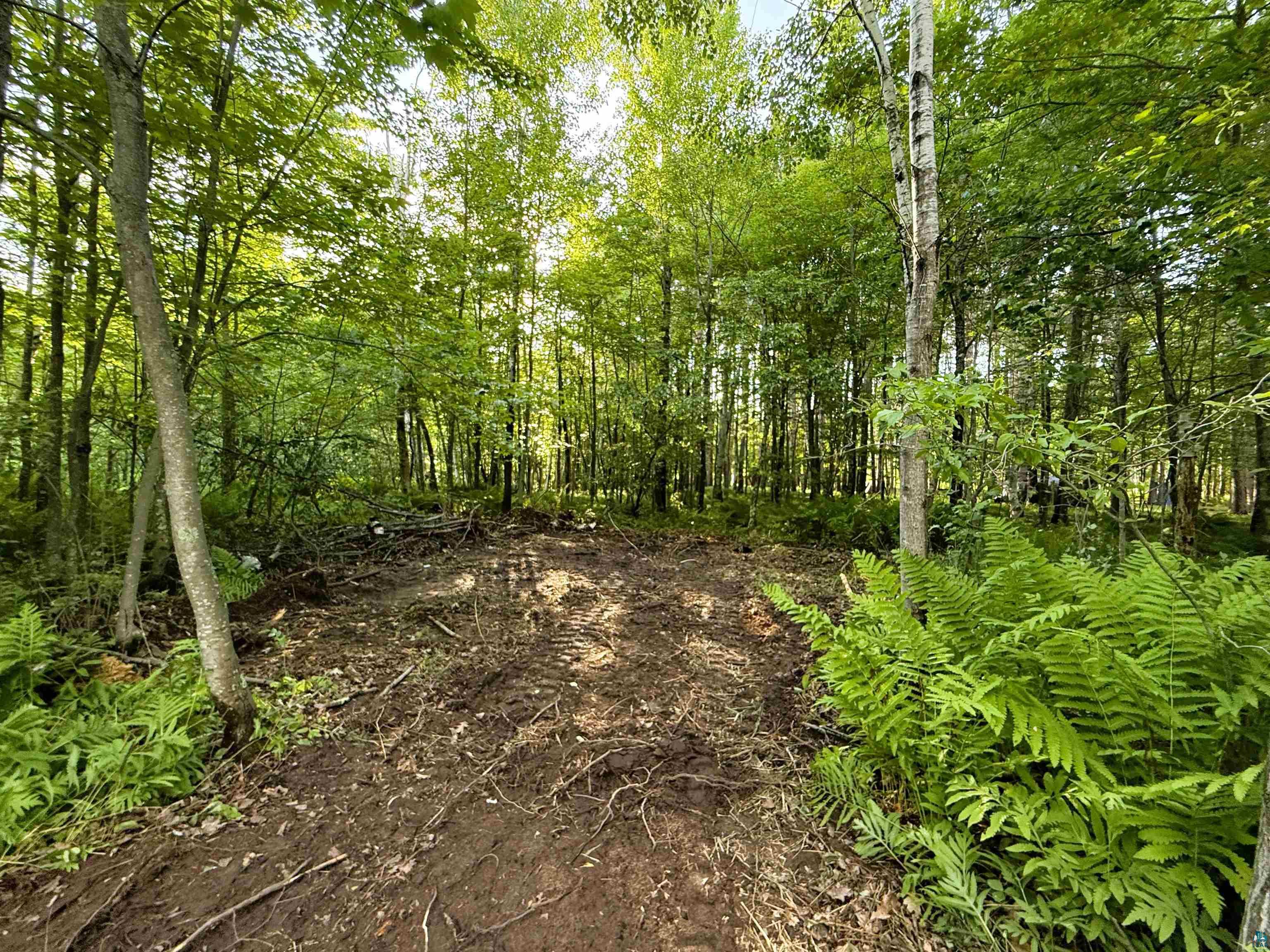 TBD Frontier Ln Sturgeon Lake MN 55783 - Sturgeon 6125993 image1