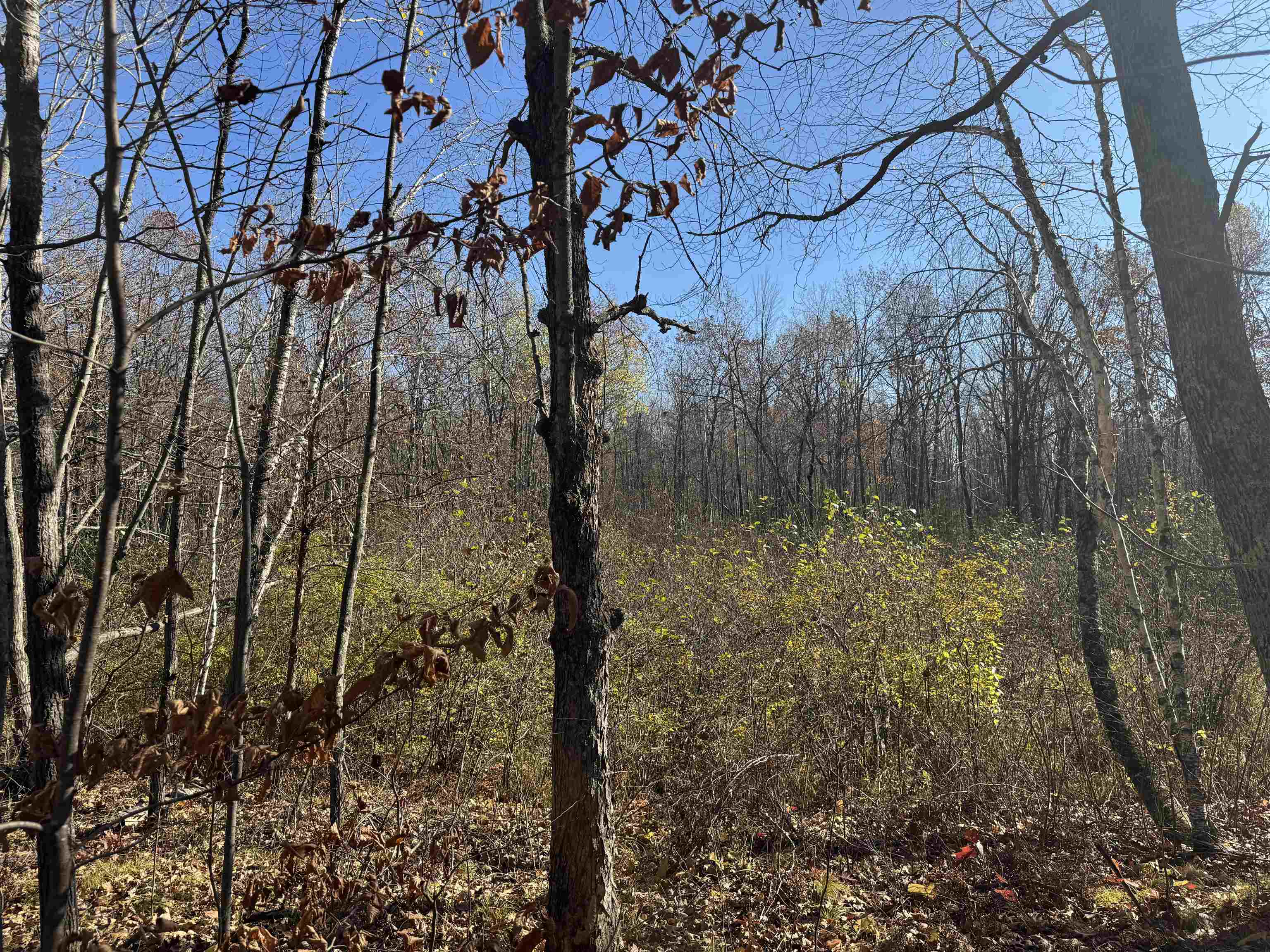 TBD Grace Lake Rd Sandstone MN 55072 6122546 image3