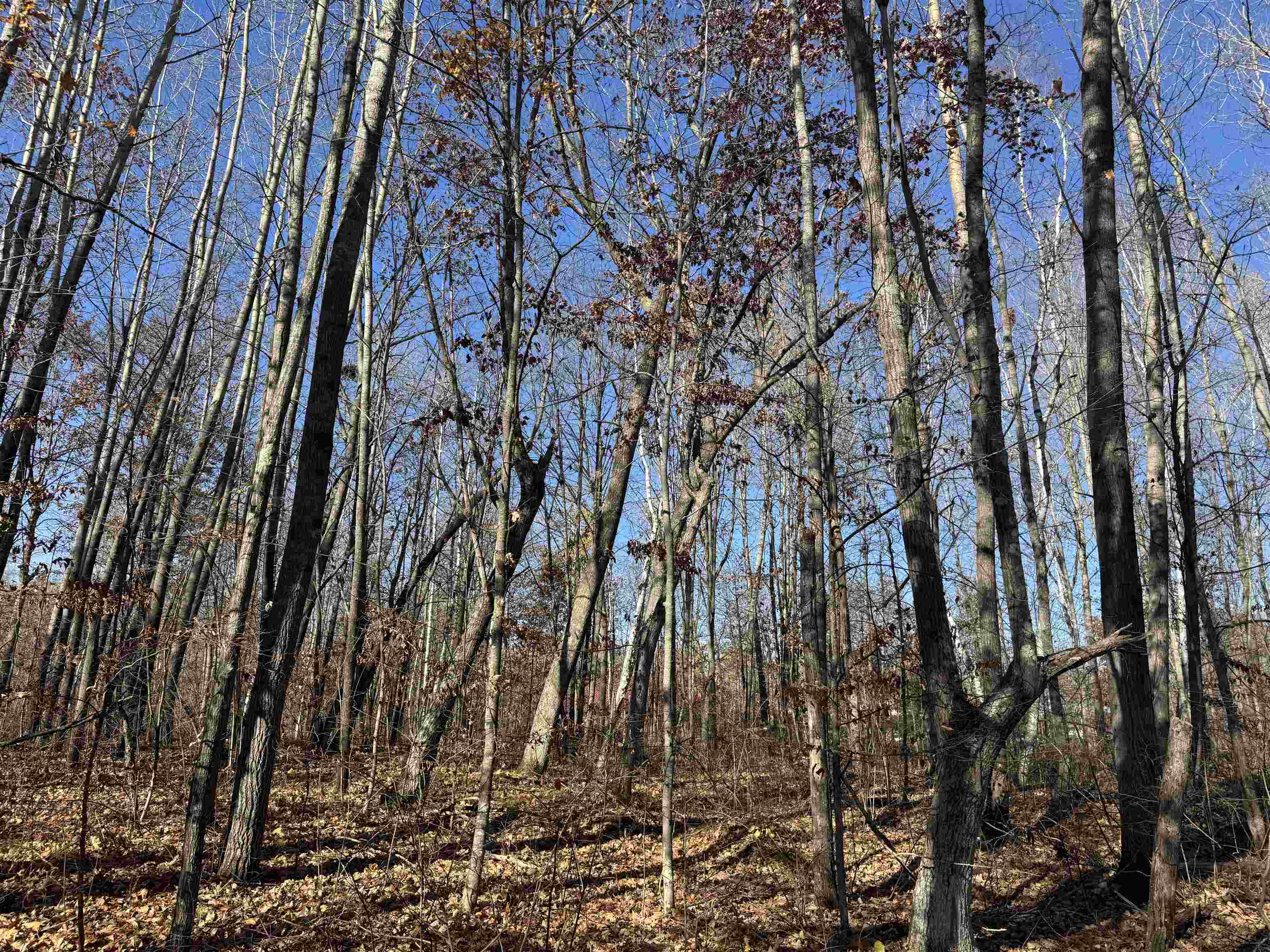 TBD Grace Lake Rd Sandstone MN 55072 6122546 image6